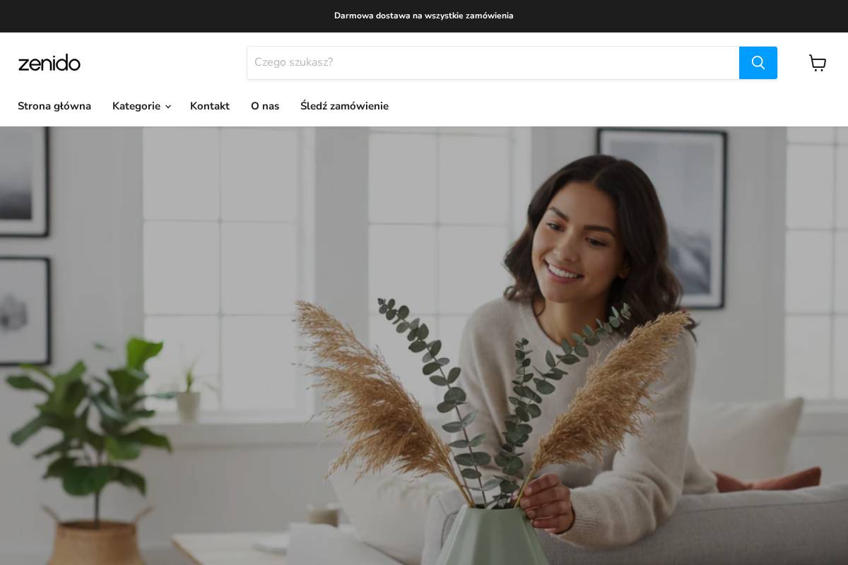 Zenido homepage screenshot