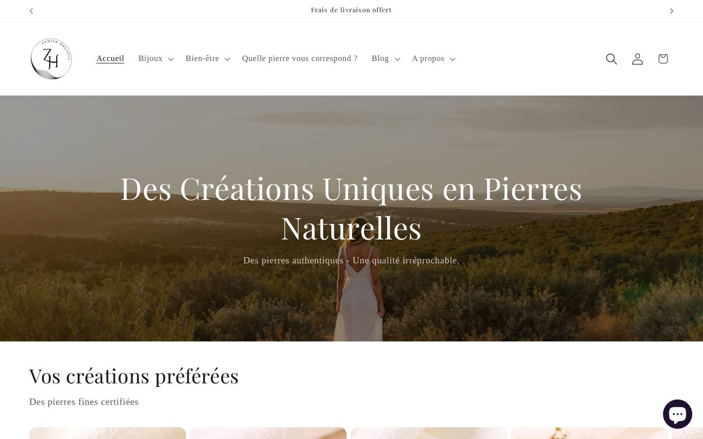 zenith-holistic.fr homepage screenshot