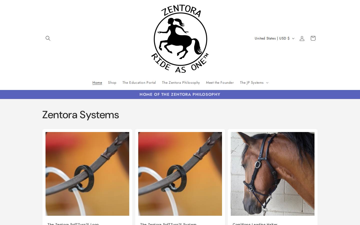 Zentora Overseas Careers homepage screenshot