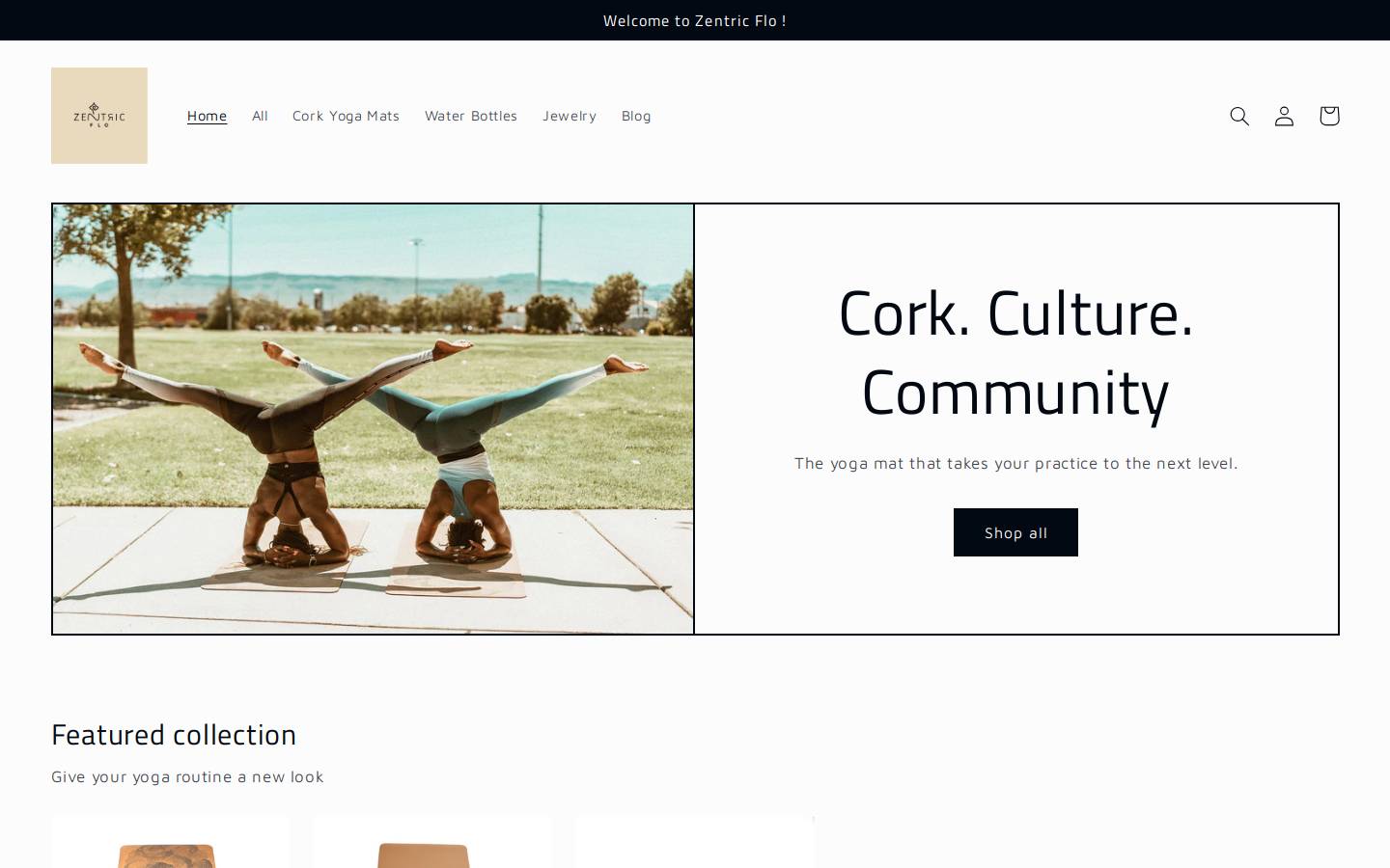 zentricflo.com homepage screenshot