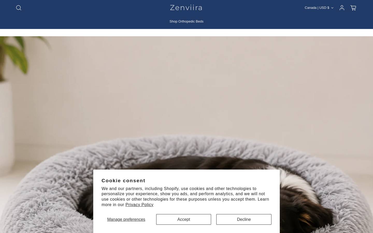 zenviira.com homepage screenshot