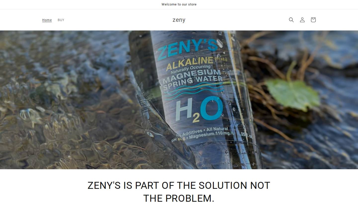 zenymagnesiumh2o.com homepage screenshot