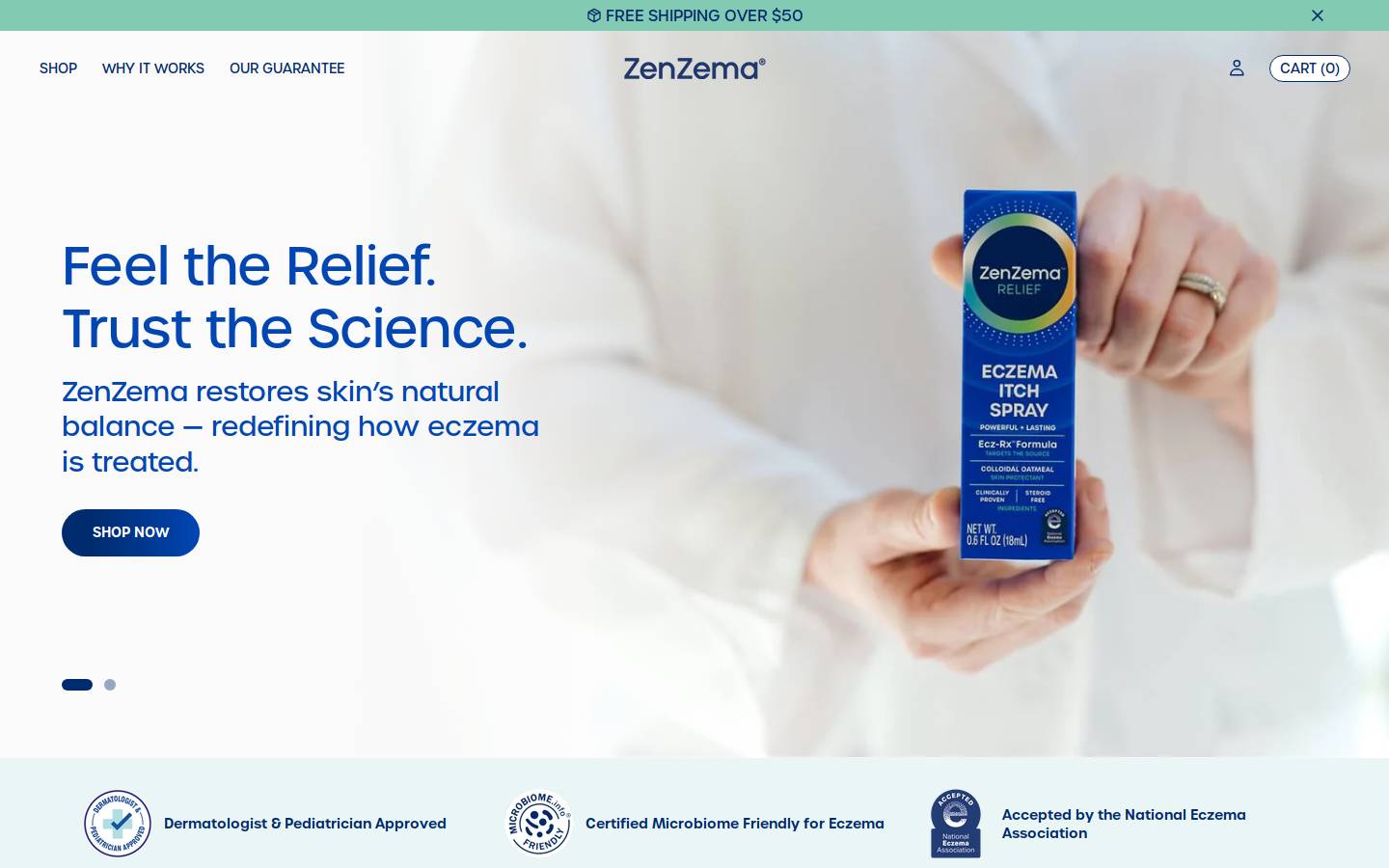 zenzema.com homepage screenshot
