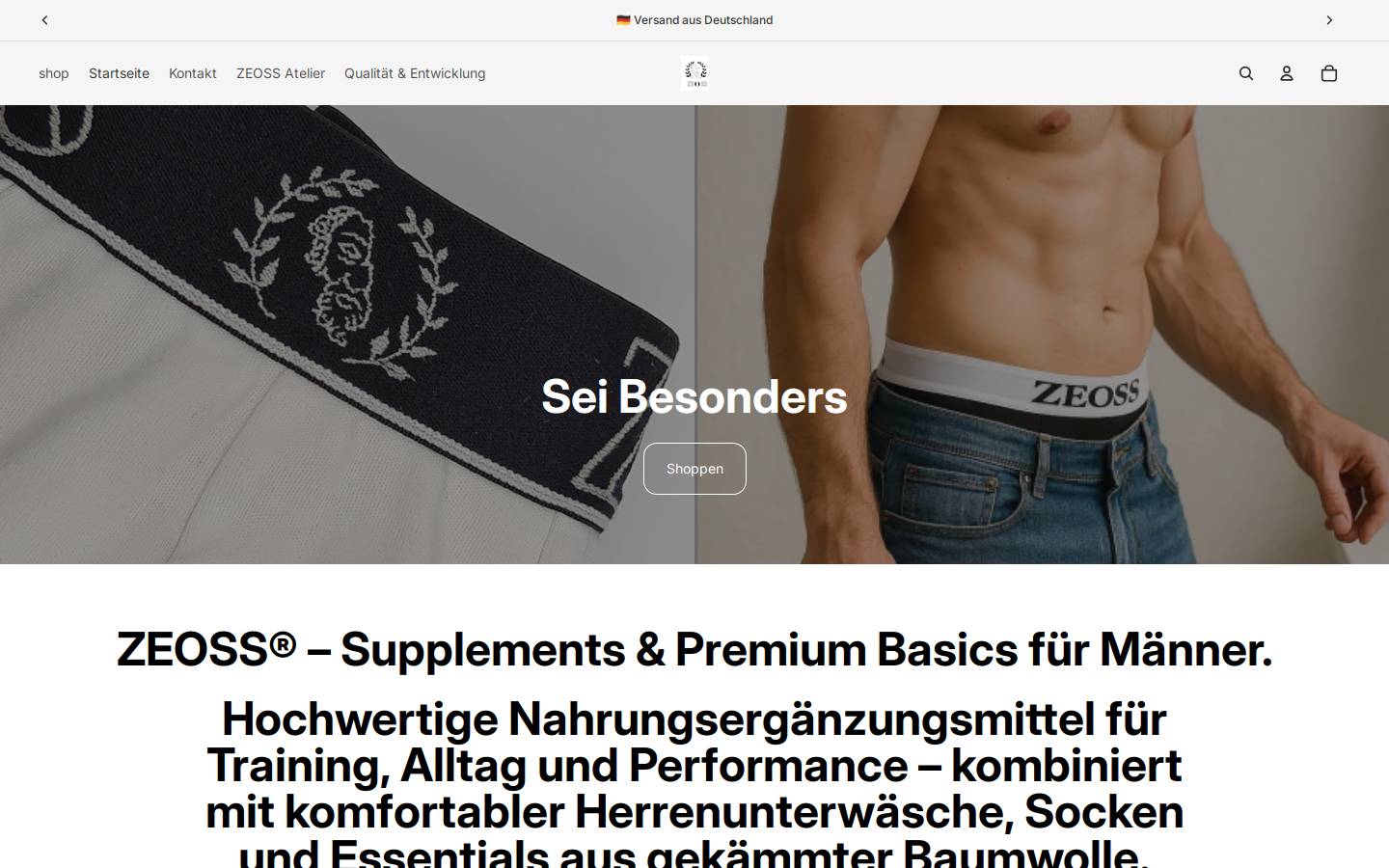 zeoss.de homepage screenshot
