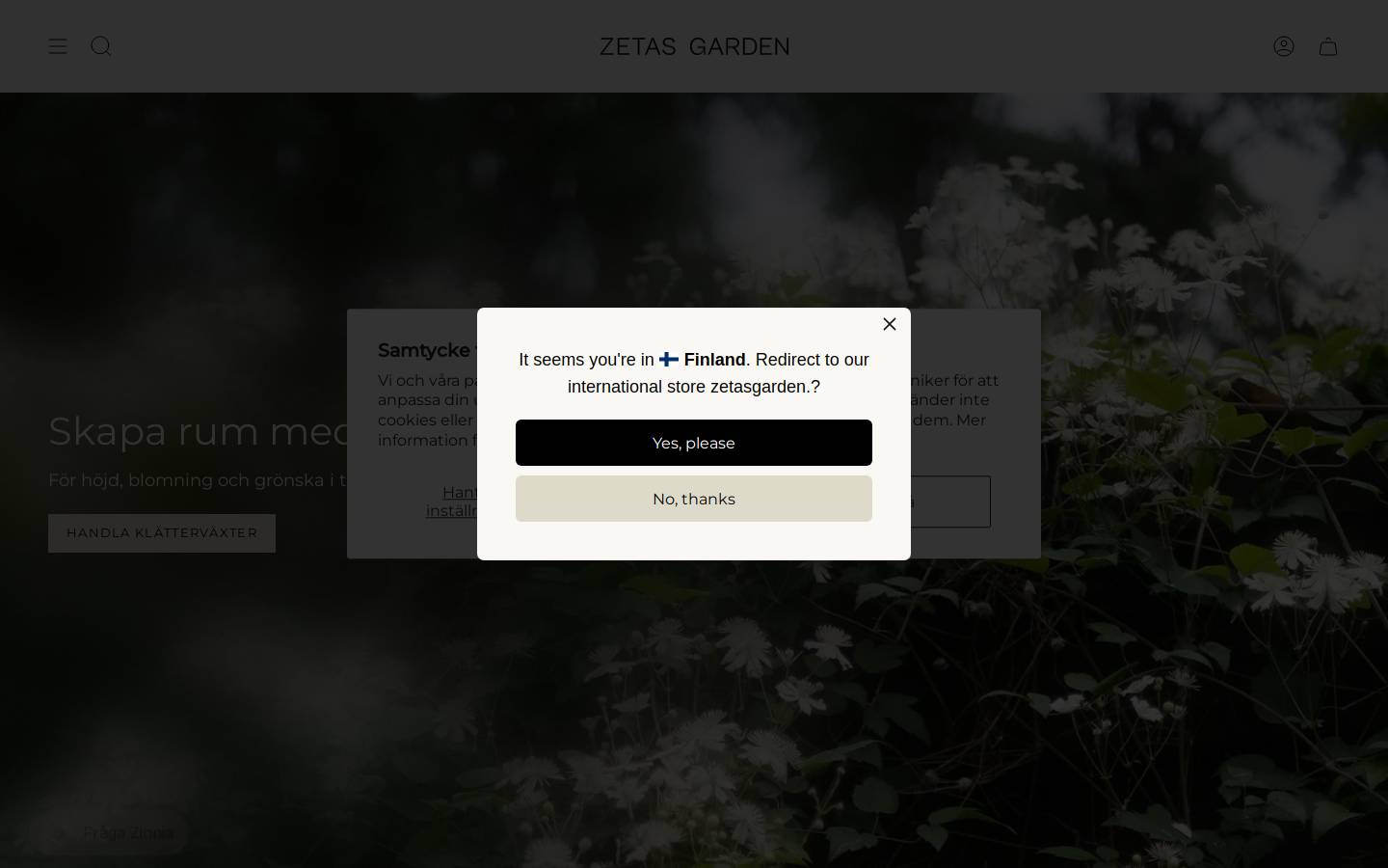 Zetas homepage screenshot