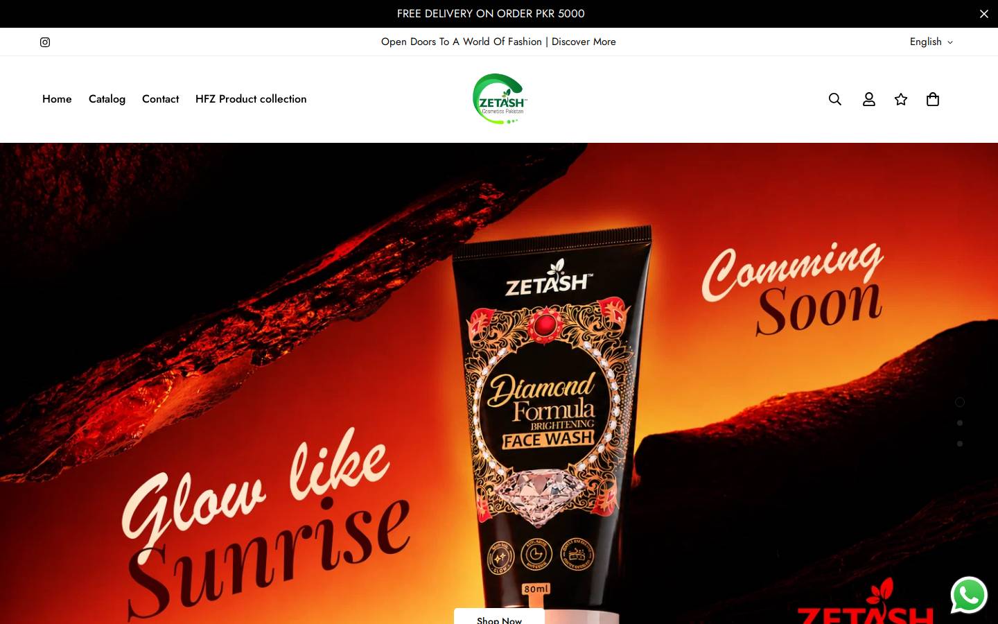 zetash.com homepage screenshot