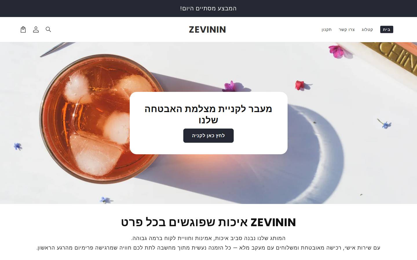 zevinin.com homepage screenshot