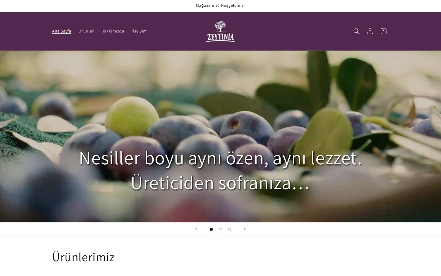 zeytinia.com.tr homepage screenshot
