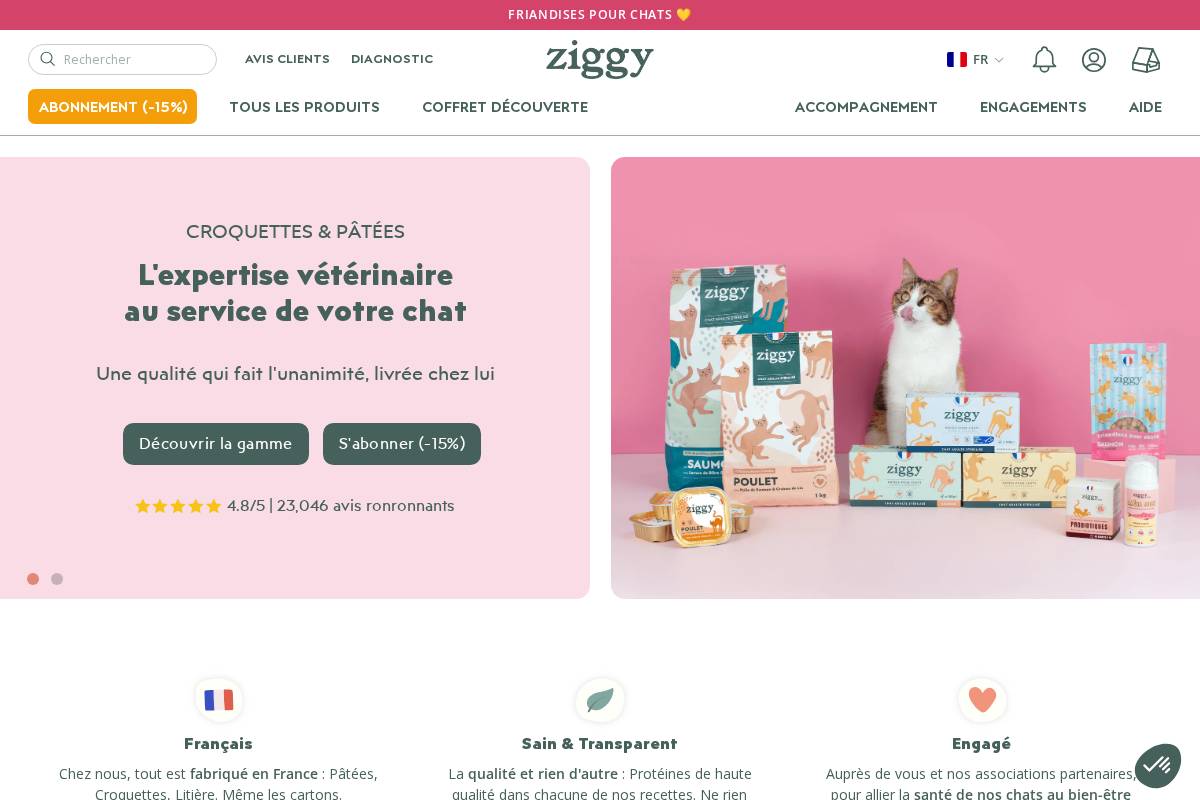 Ziggy Family homepage screenshot