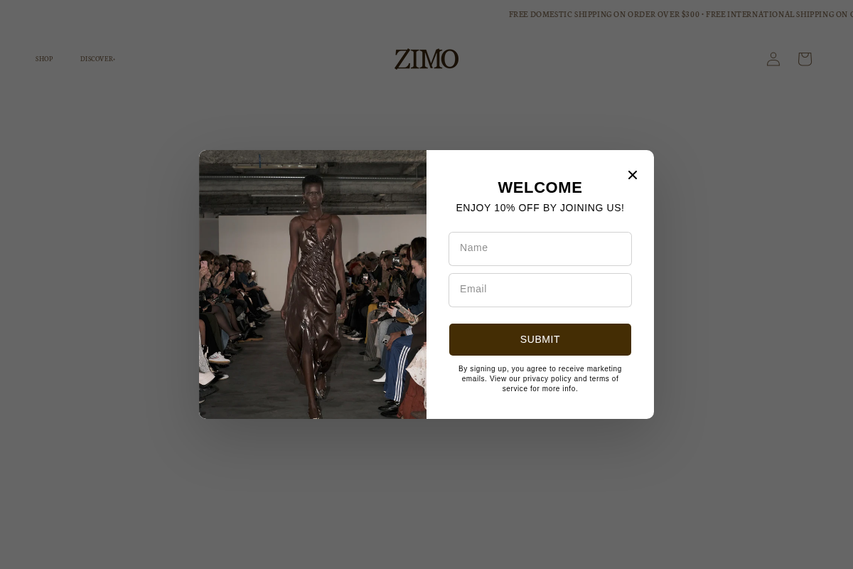 ZIMO homepage screenshot