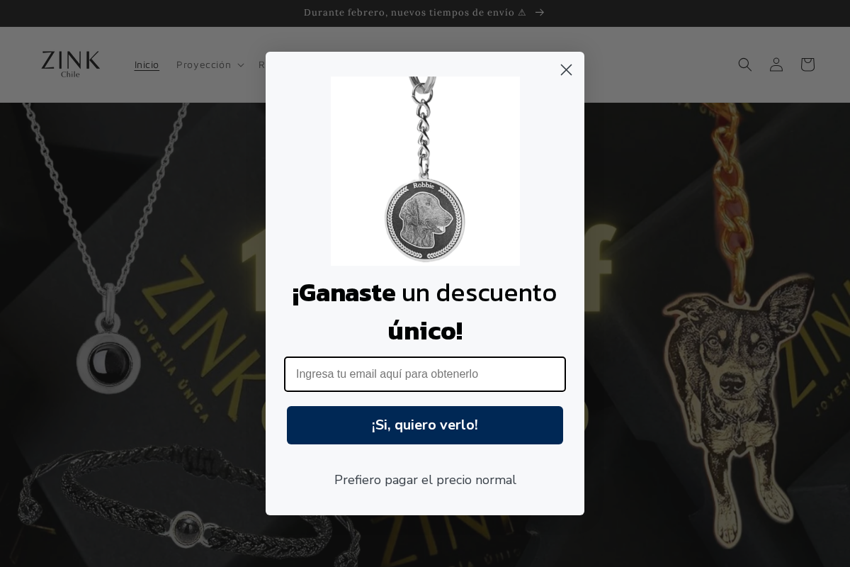 Zink Chile homepage screenshot