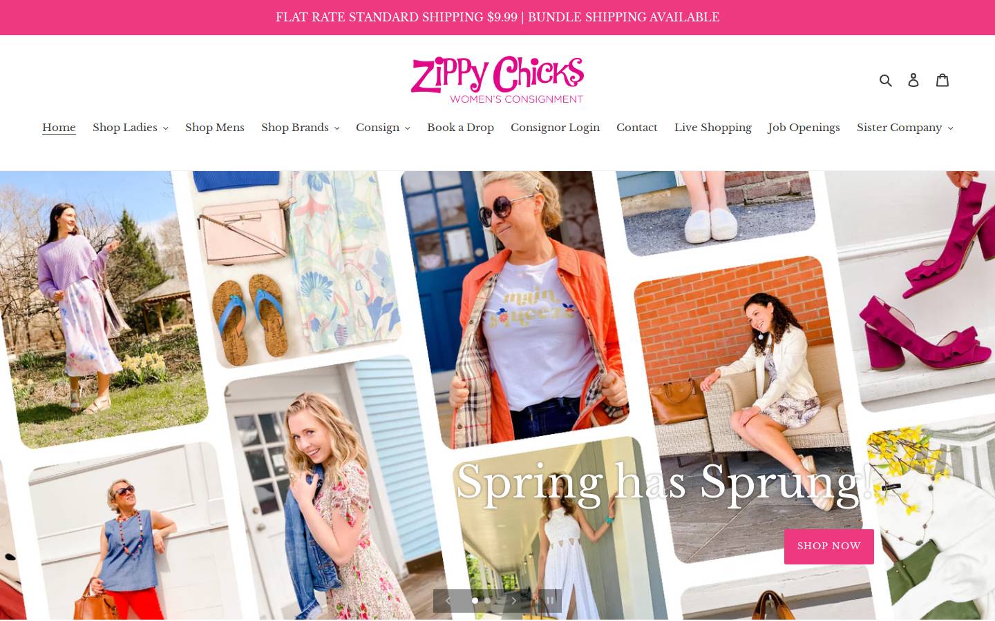 zippychicks.com homepage screenshot