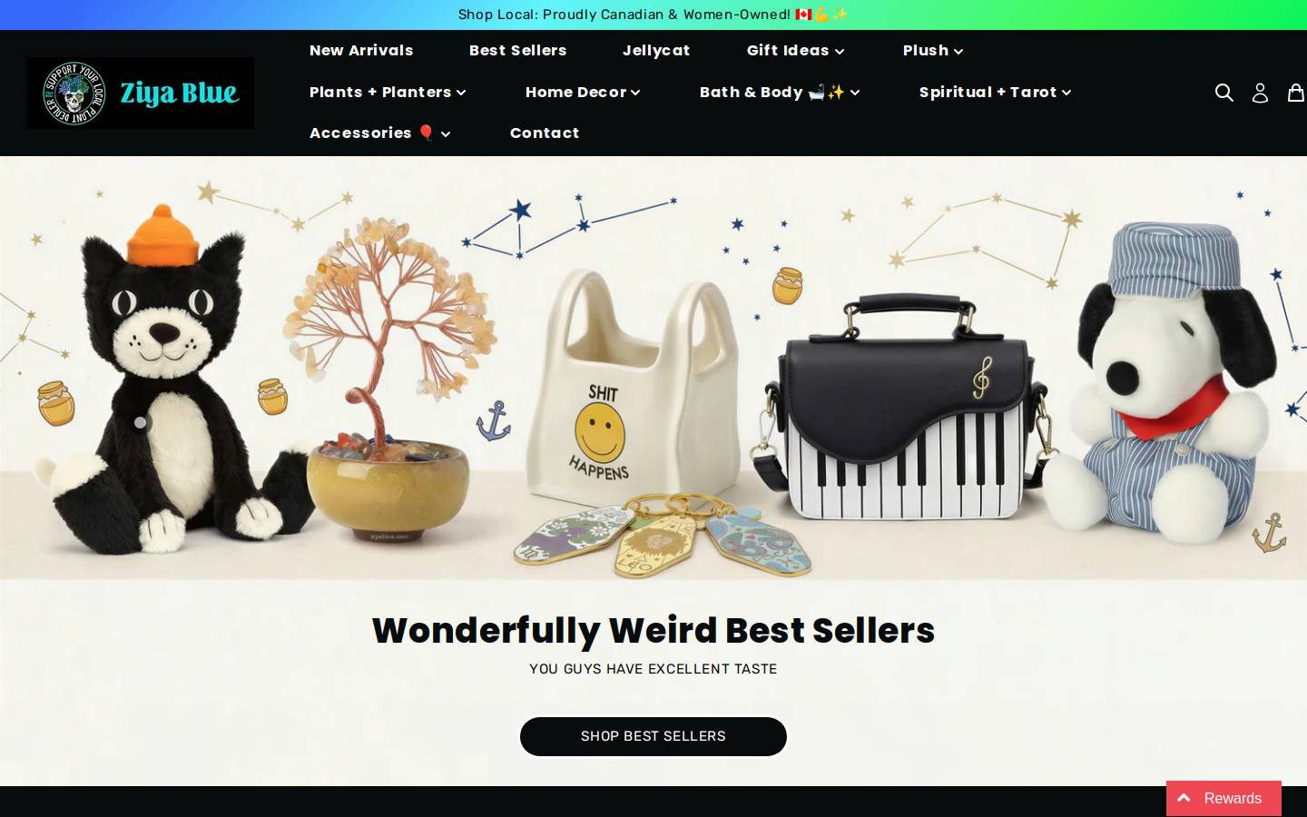 Ziya Blue homepage screenshot