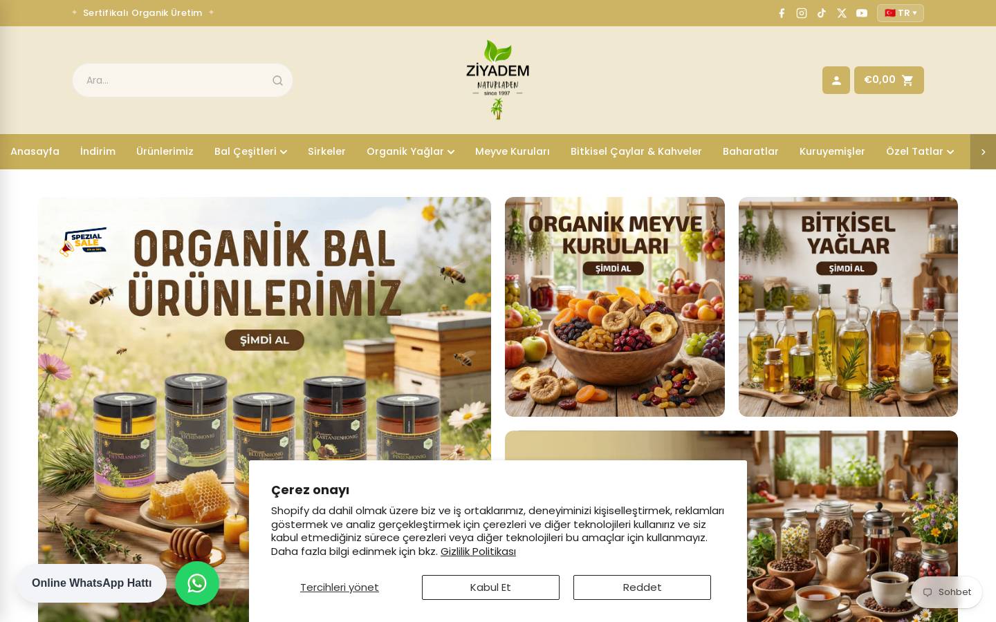 ziyadem.de homepage screenshot