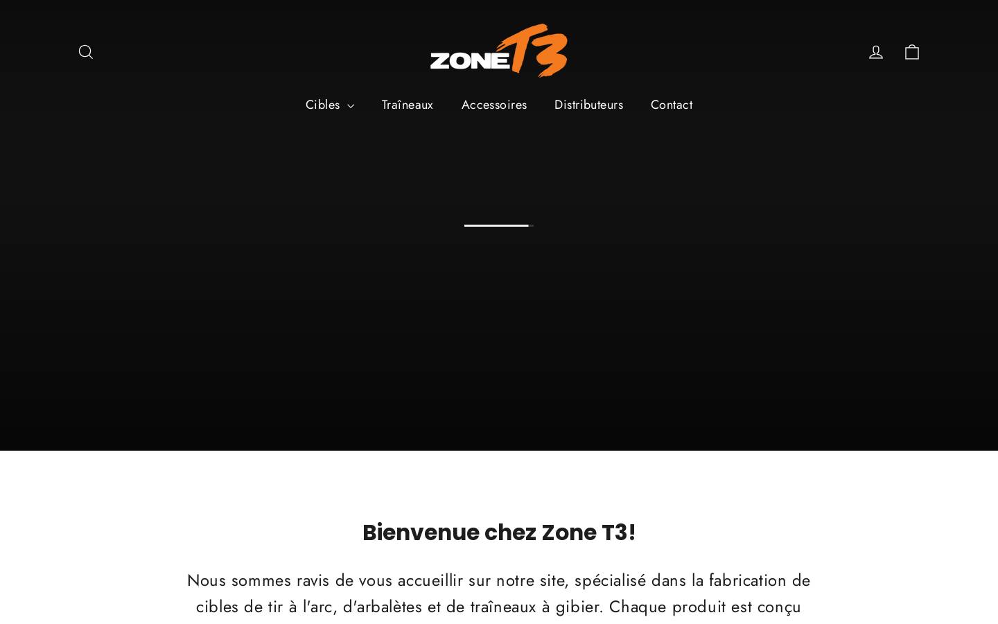 zonet3.com homepage screenshot