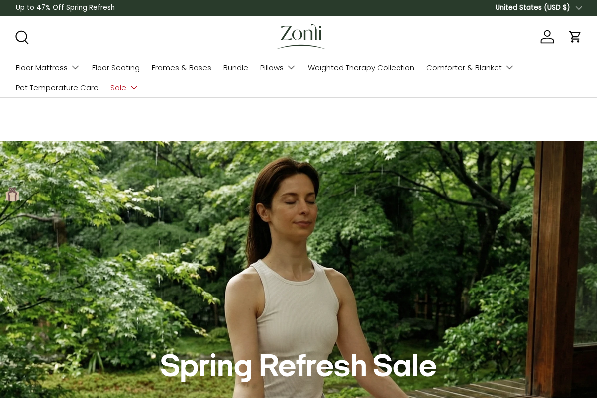 zonli homepage screenshot