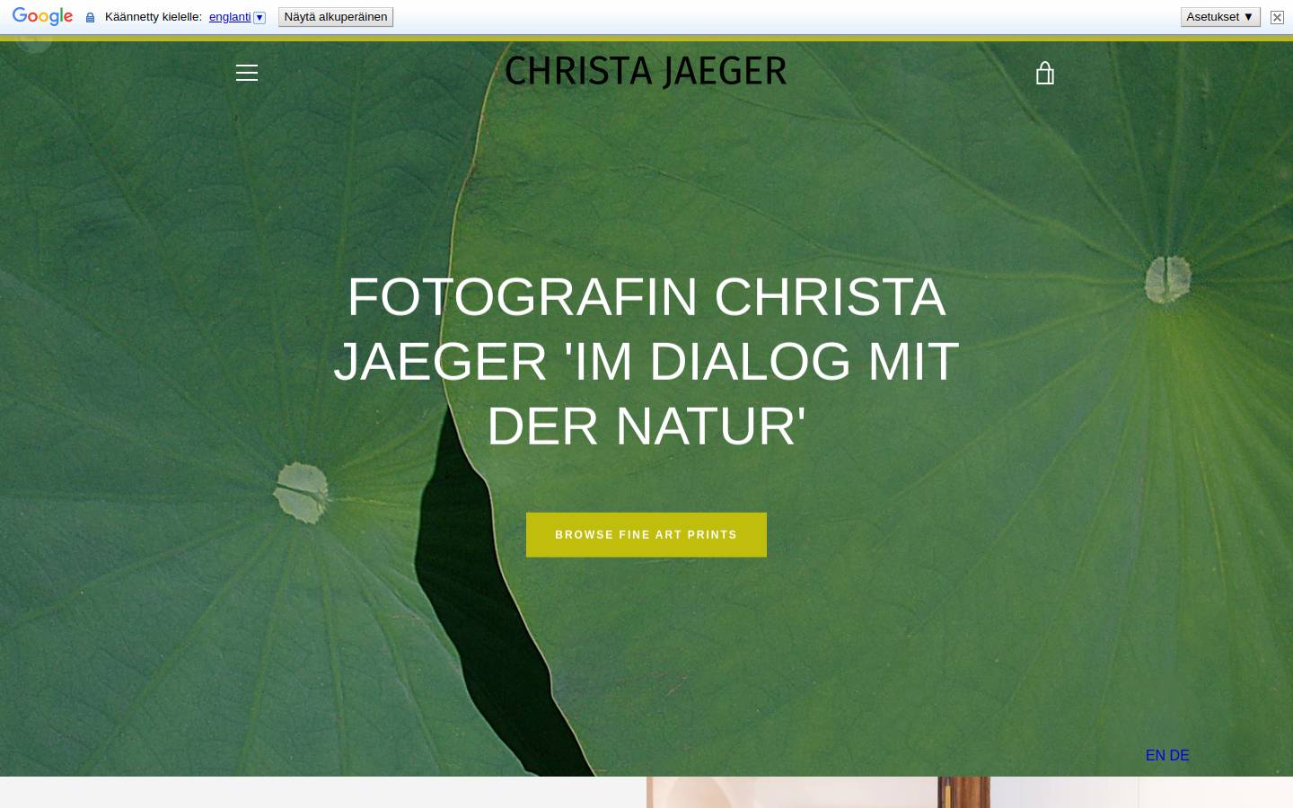 zoomin-gallery.ch homepage screenshot