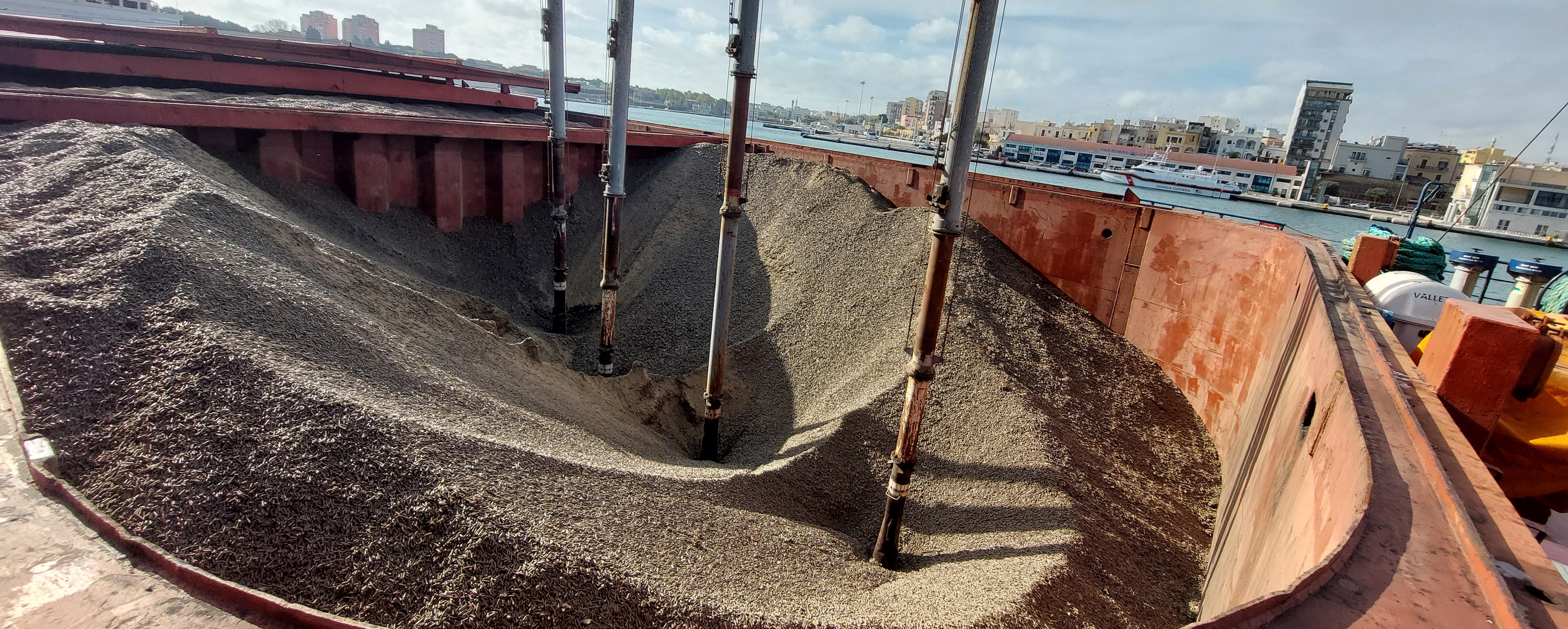 FOSFA discharge supervision. Discharge of sunflower meal in pallets in bulk by vacuum discharger