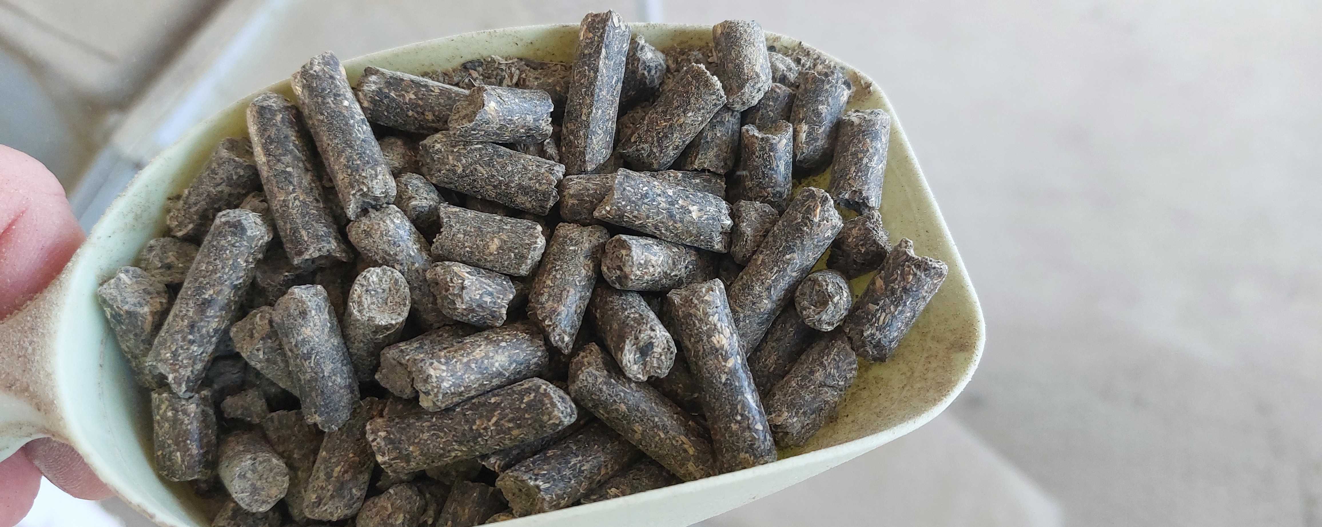 GAFTA loading supervision. Close view of sample of sunflower meal in pallets