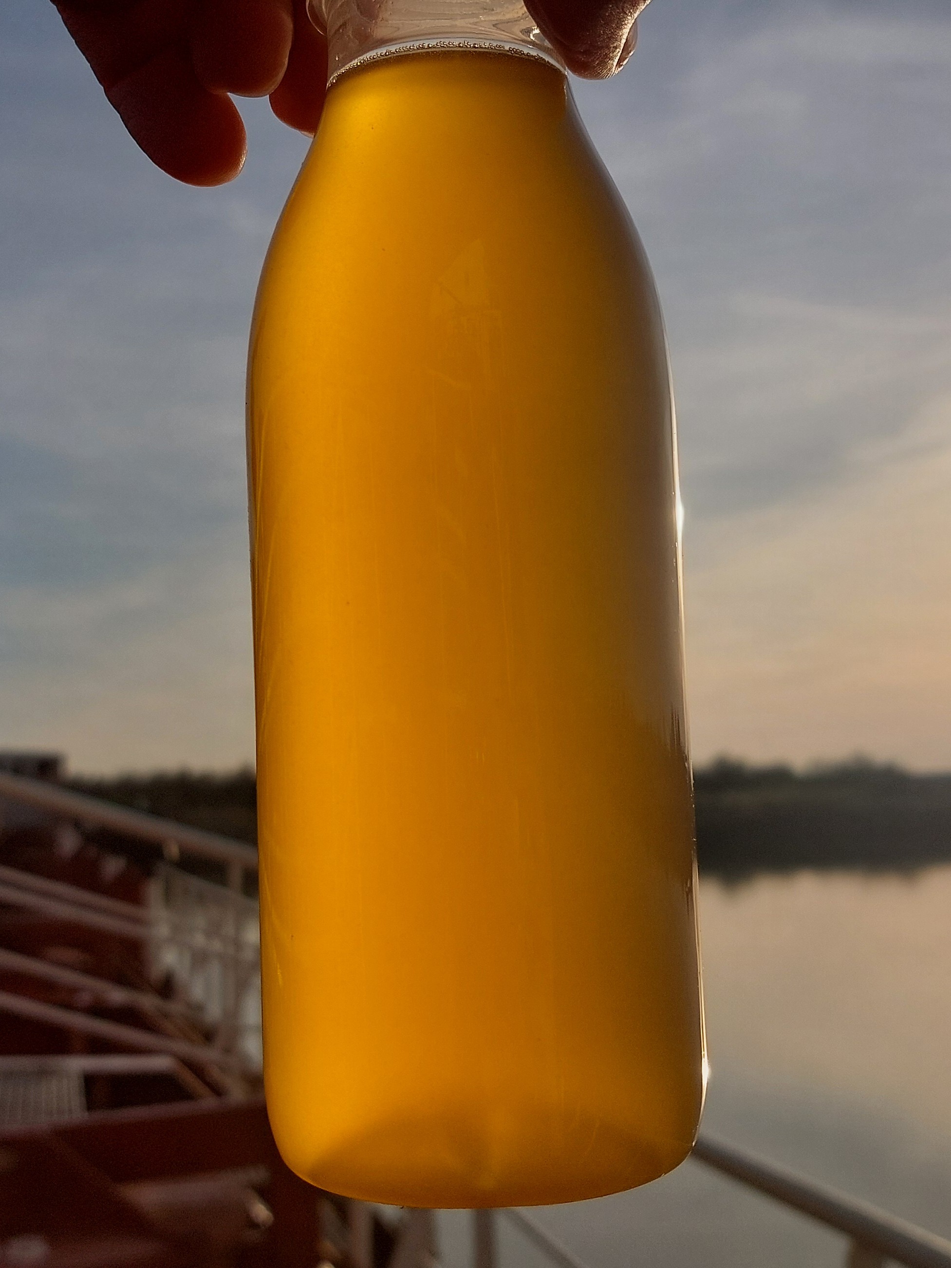 FOSFA discharge supervision. View of sample of sunflower oil in bottle showing cleanliness of sampled cargo