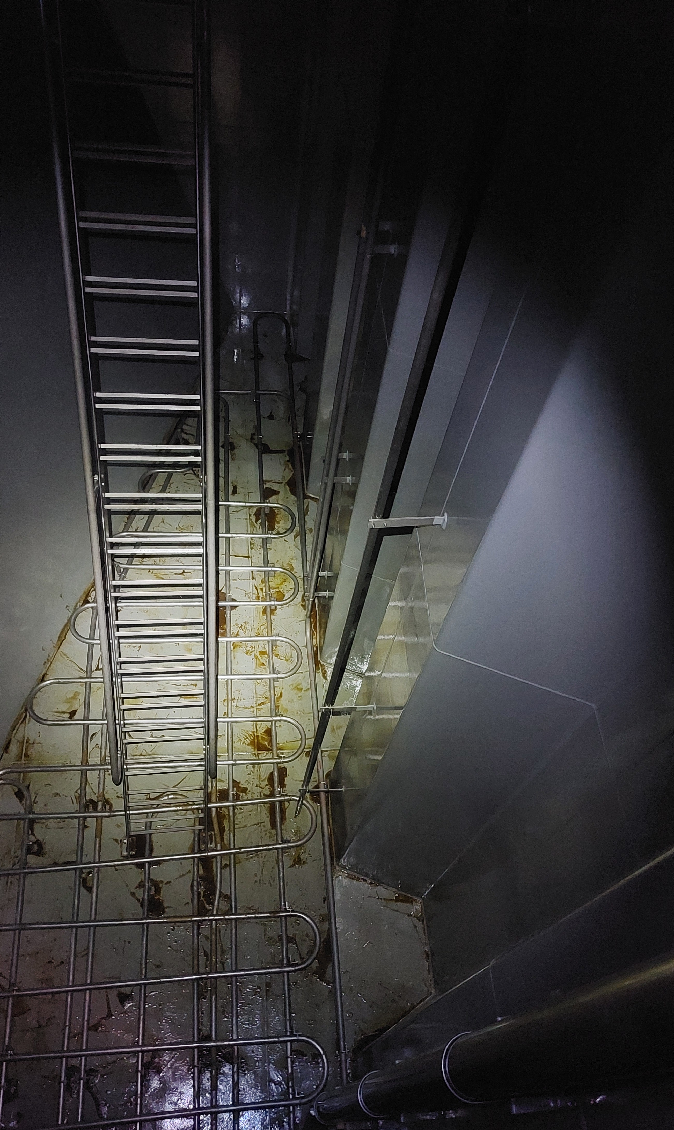 Tank inspection. Cargo tank of tanker after completion of discharge of sunflower seed oil
