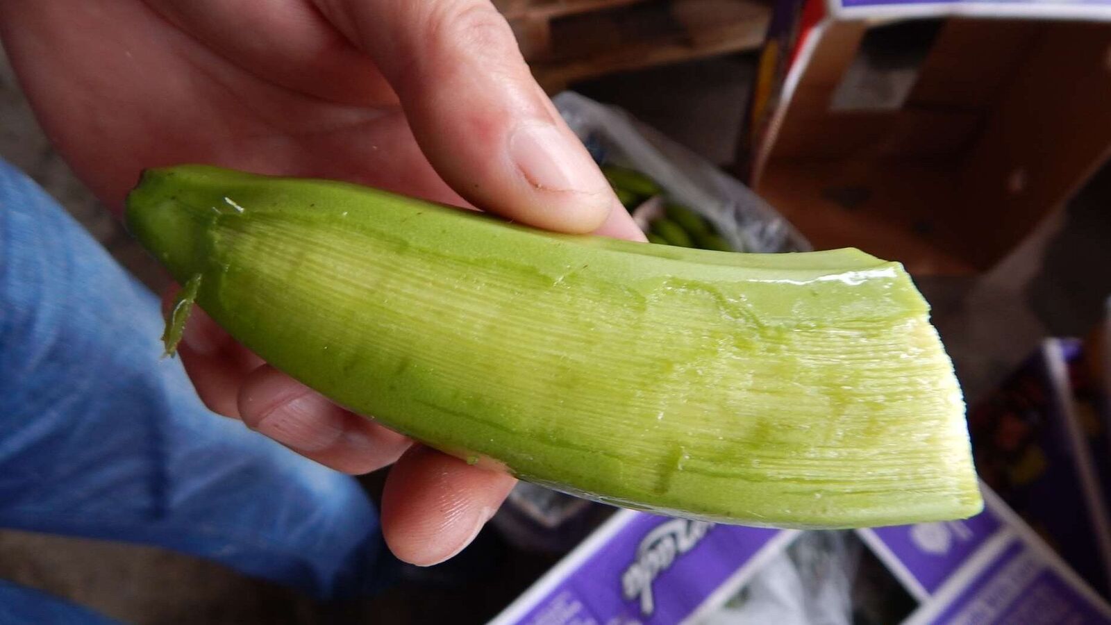 Banana peel testing