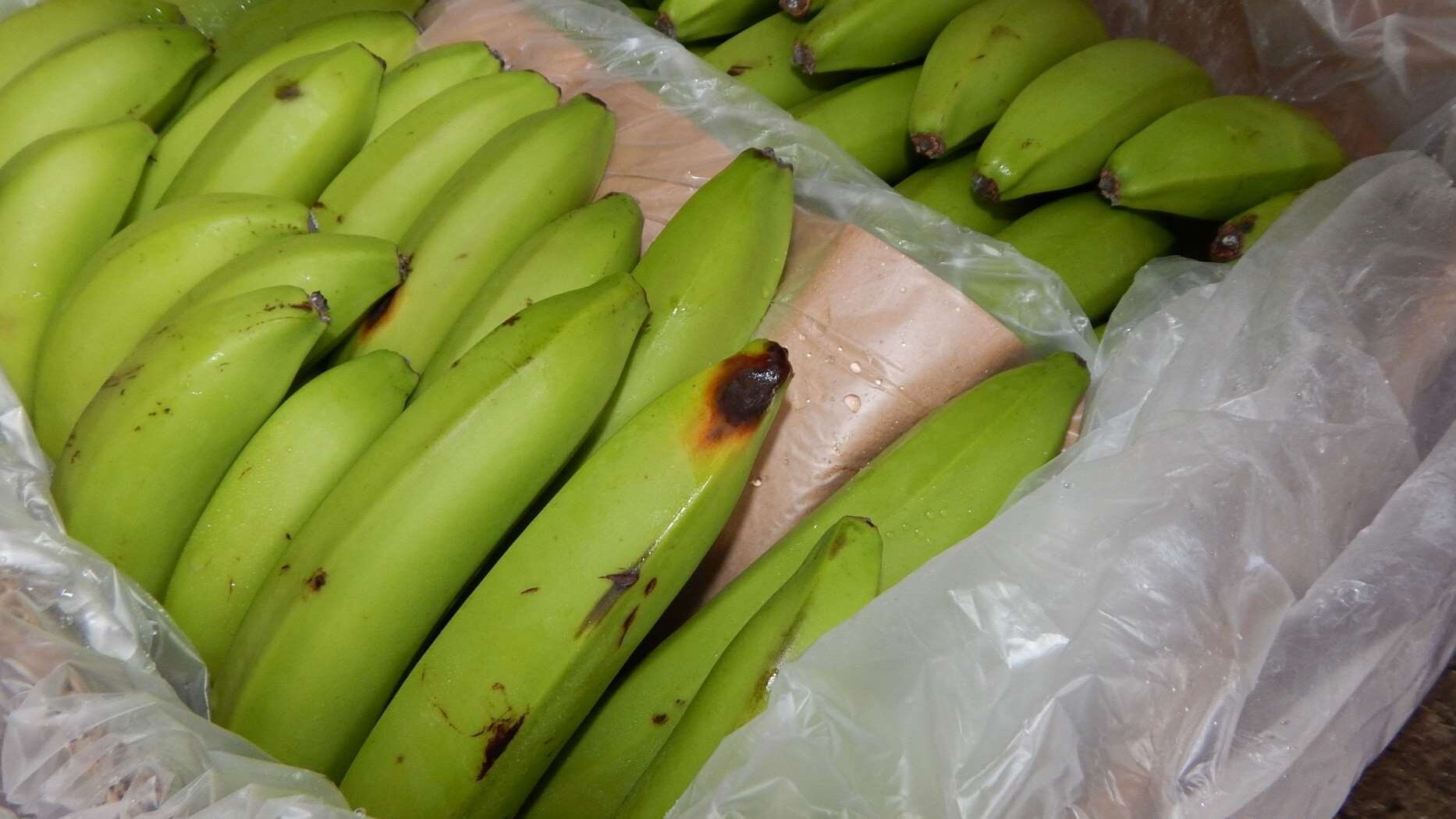 Random inspection of boxes with allegedly damaged bananas. Visual condition