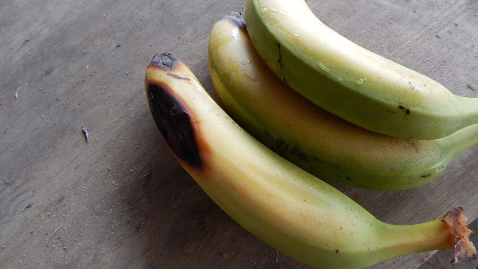 Random inspection of boxes with allegedly damaged bananas. Visual condition