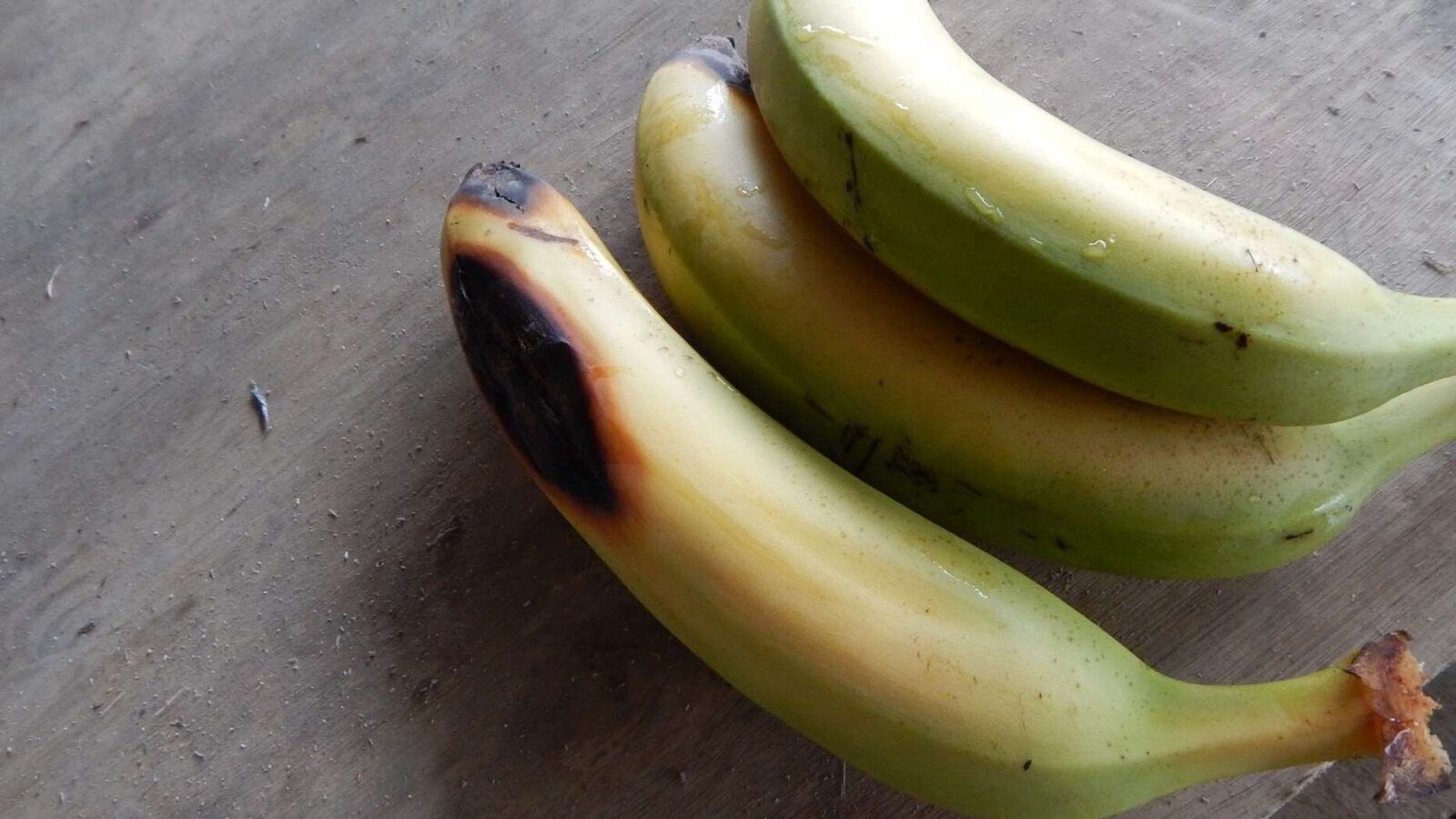 Random inspection of boxes with allegedly damaged bananas. Visual condition