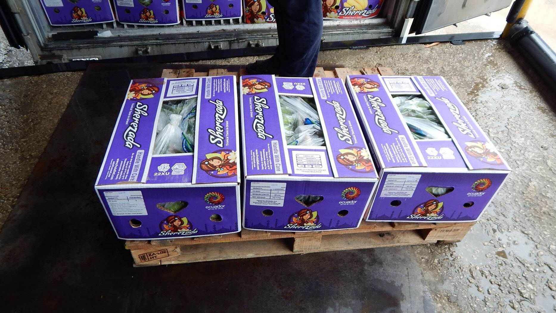 Random inspection of boxes with allegedly damaged bananas. Visual condition