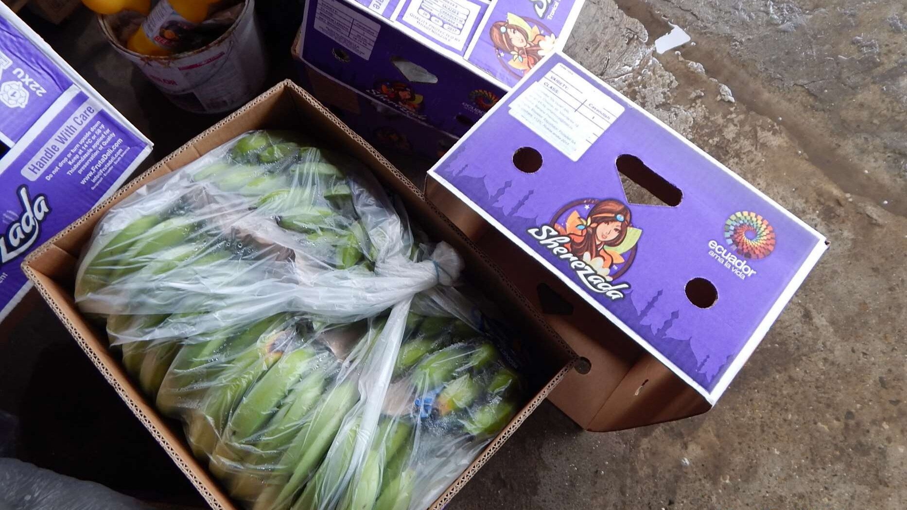 Random inspection of boxes with allegedly damaged bananas. Visual condition