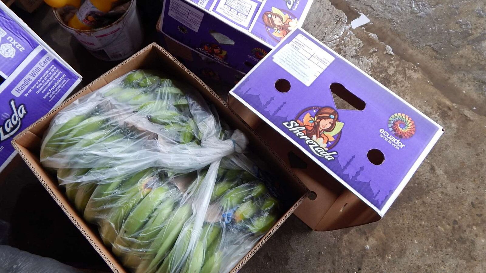 Random inspection of boxes with allegedly damaged bananas. Visual condition