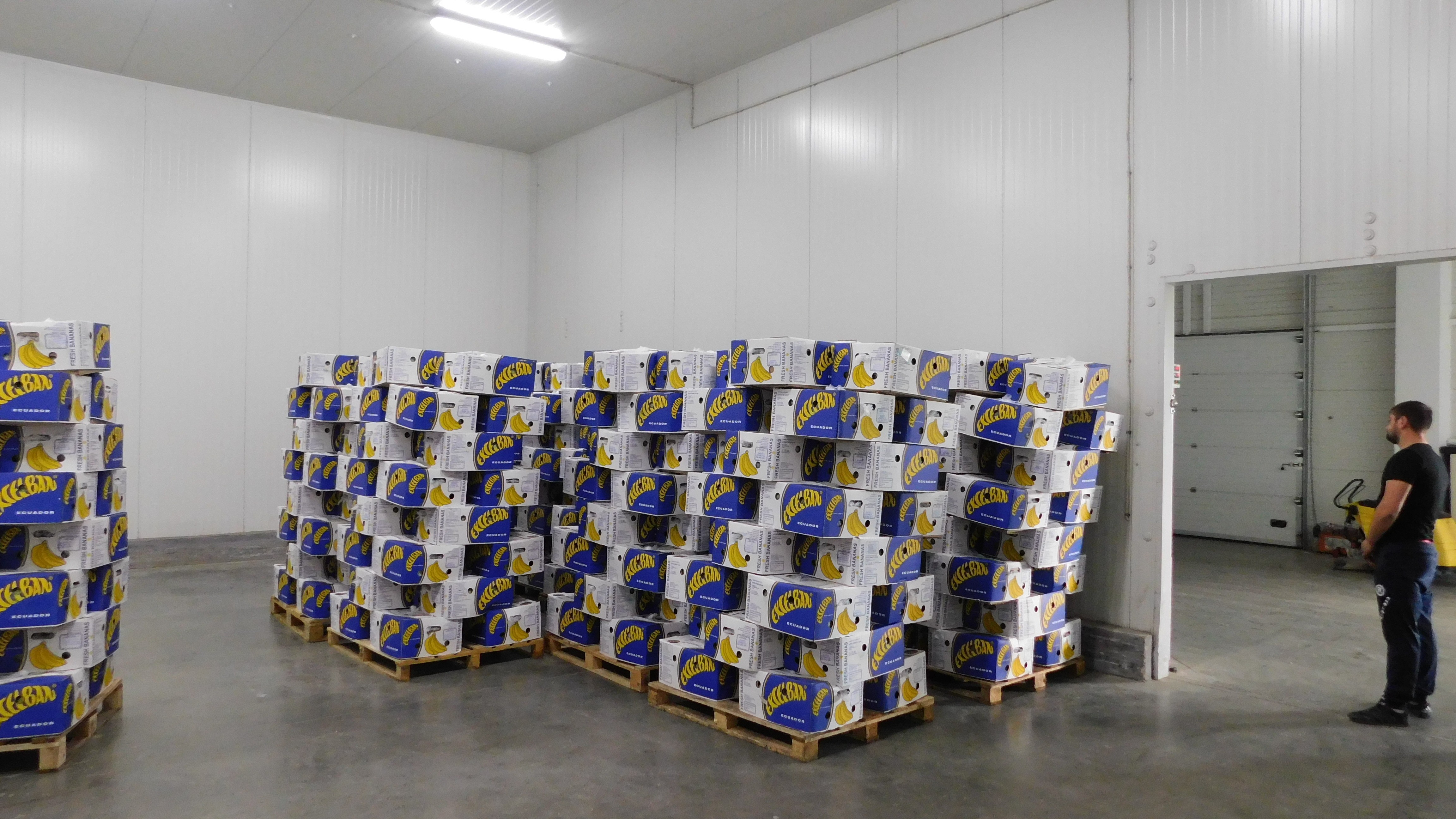 Cold storage