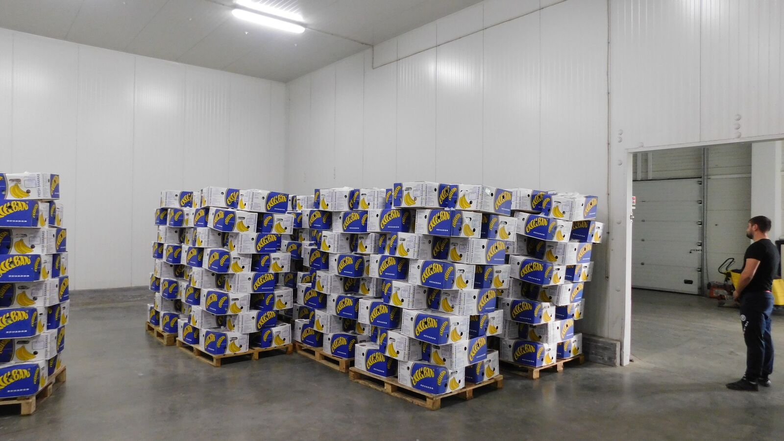 Cold storage