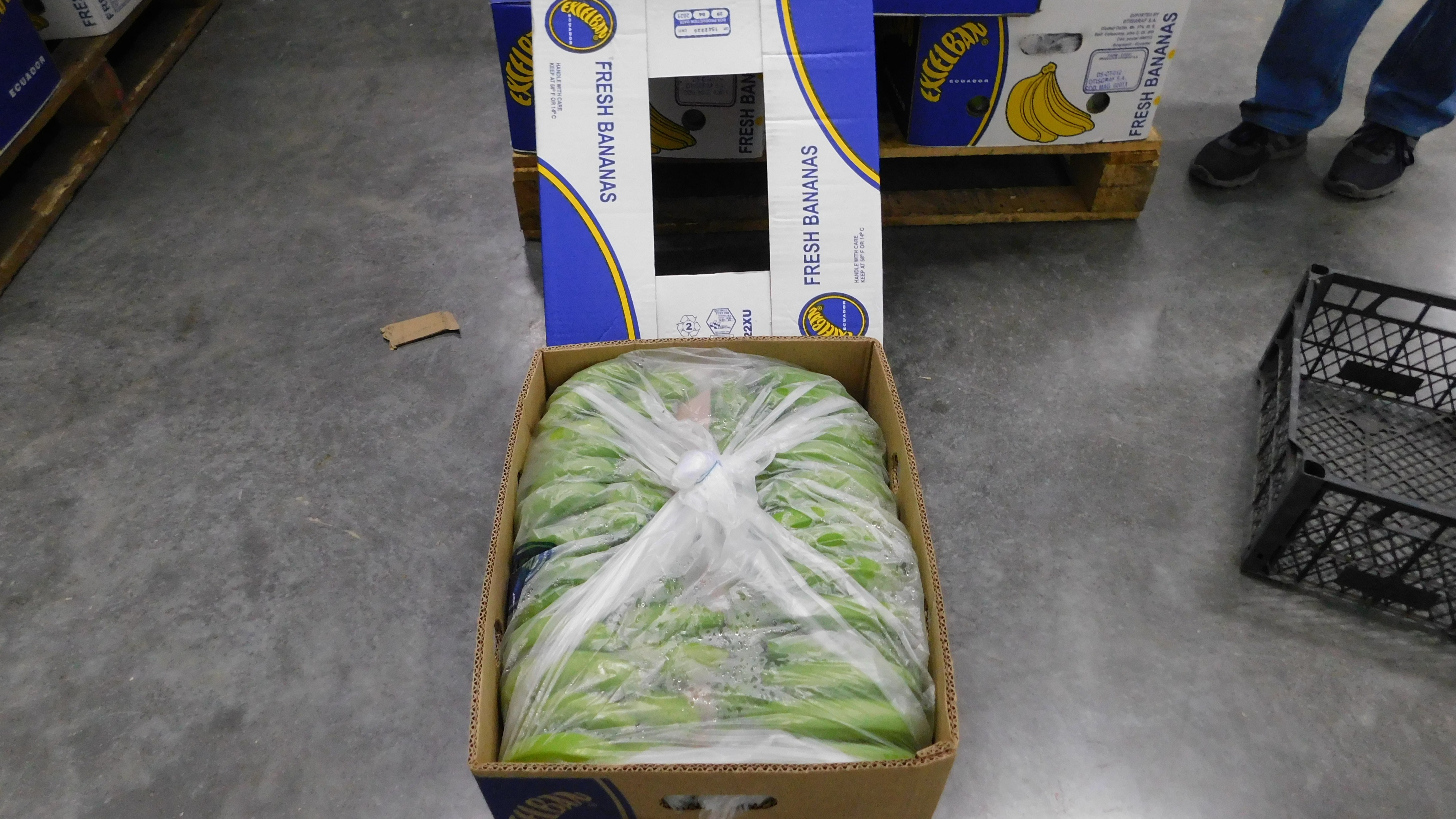 Random inspection of boxes with allegedly damaged bananas. Visual condition