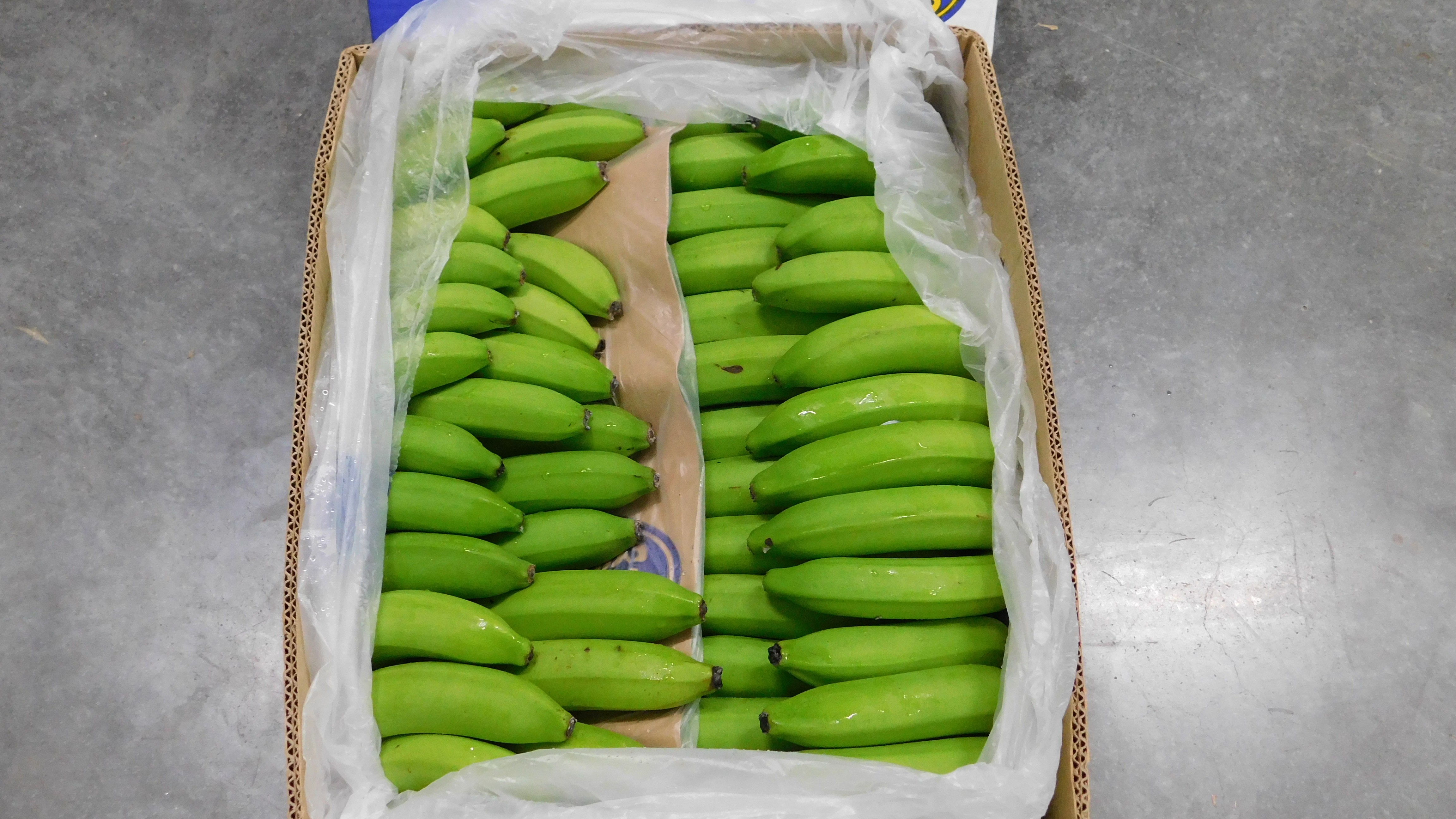 Random inspection of boxes with allegedly damaged bananas. Visual condition