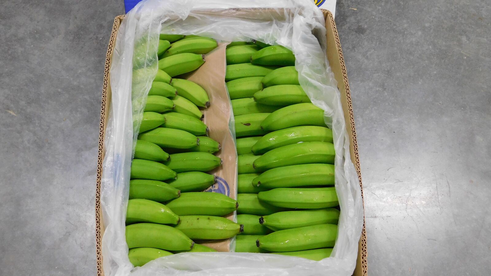 Random inspection of boxes with allegedly damaged bananas. Visual condition