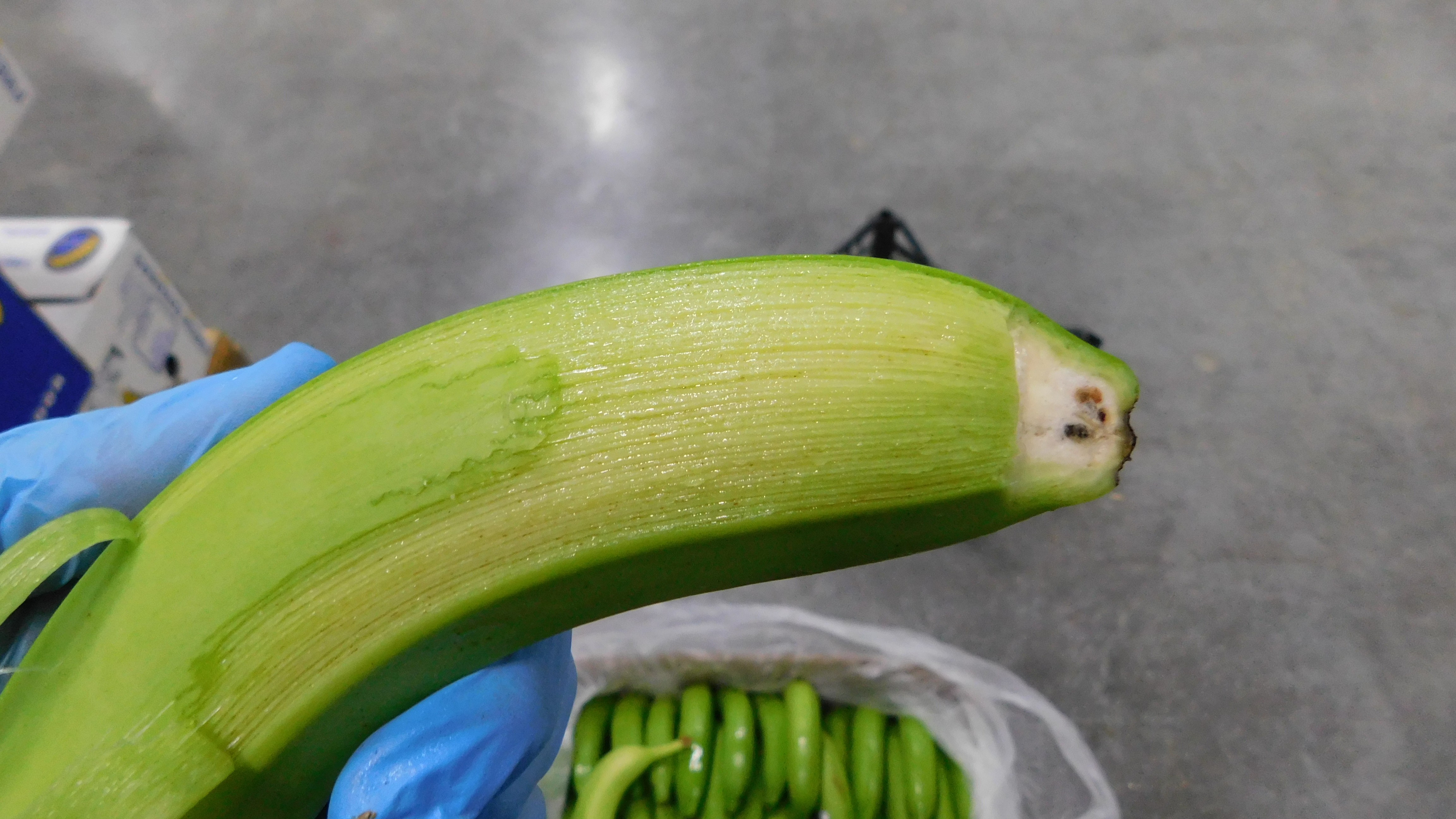 Bananas peel testing