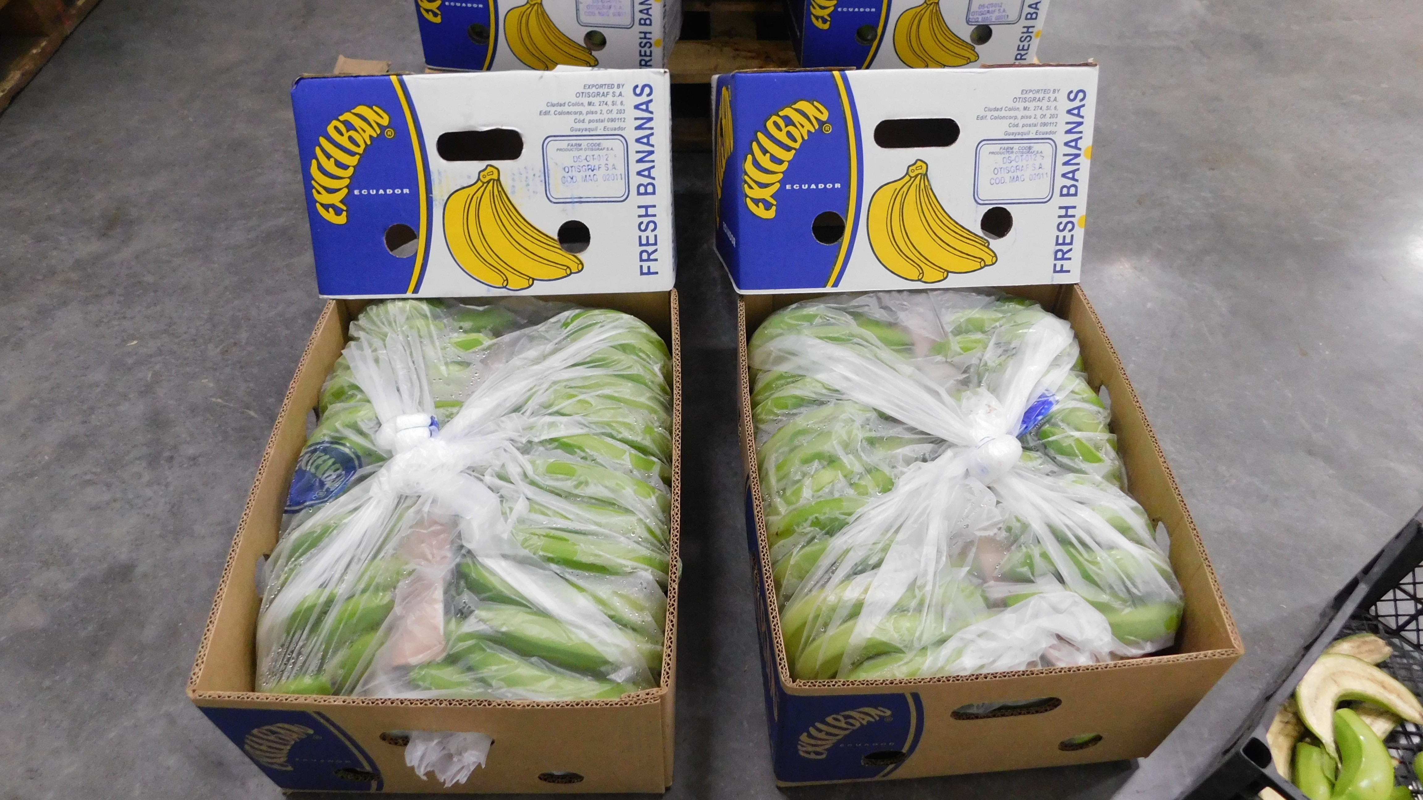 Random inspection of boxes with allegedly damaged bananas. Visual condition