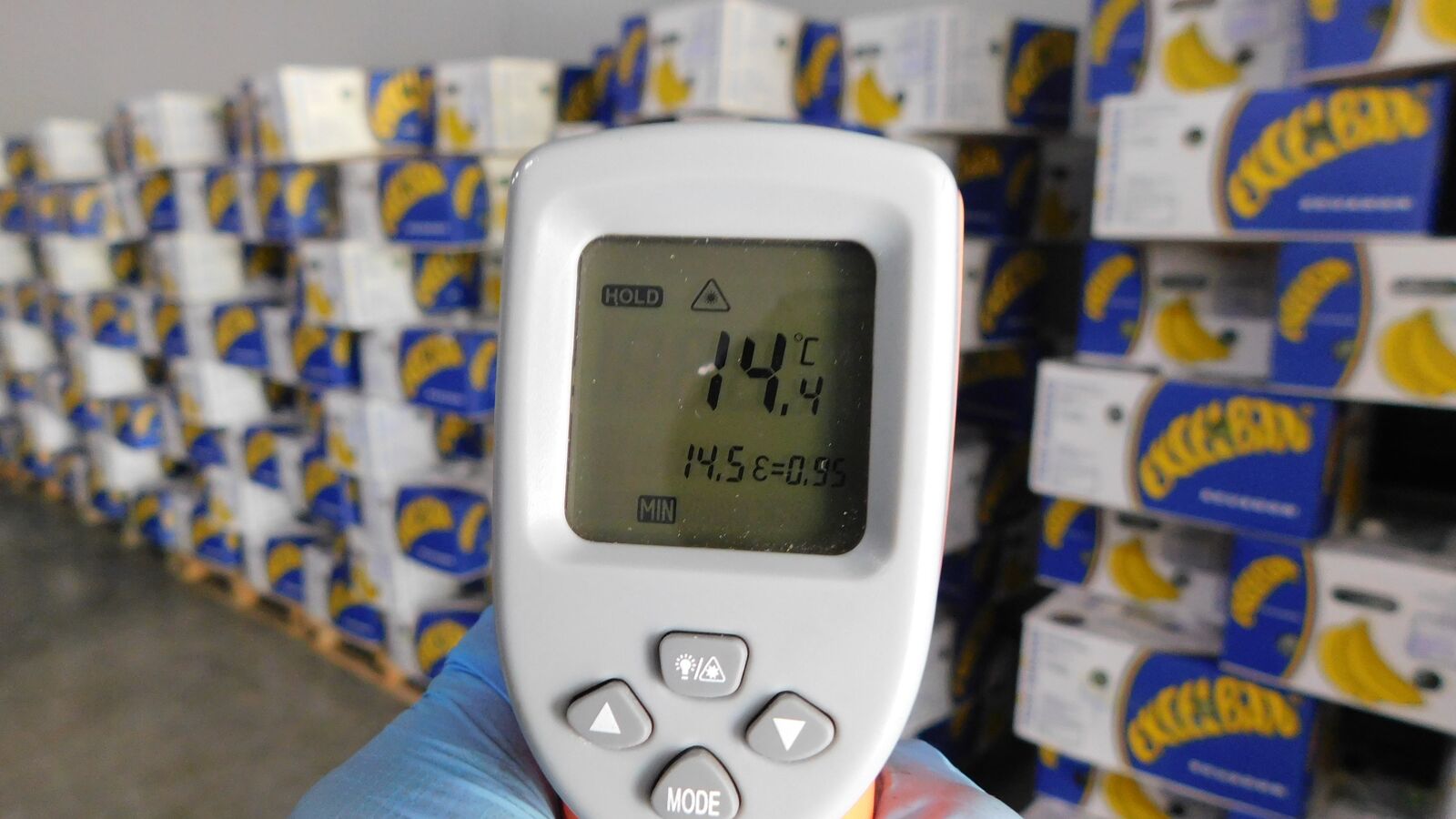 Cold storage. Temperature measurement