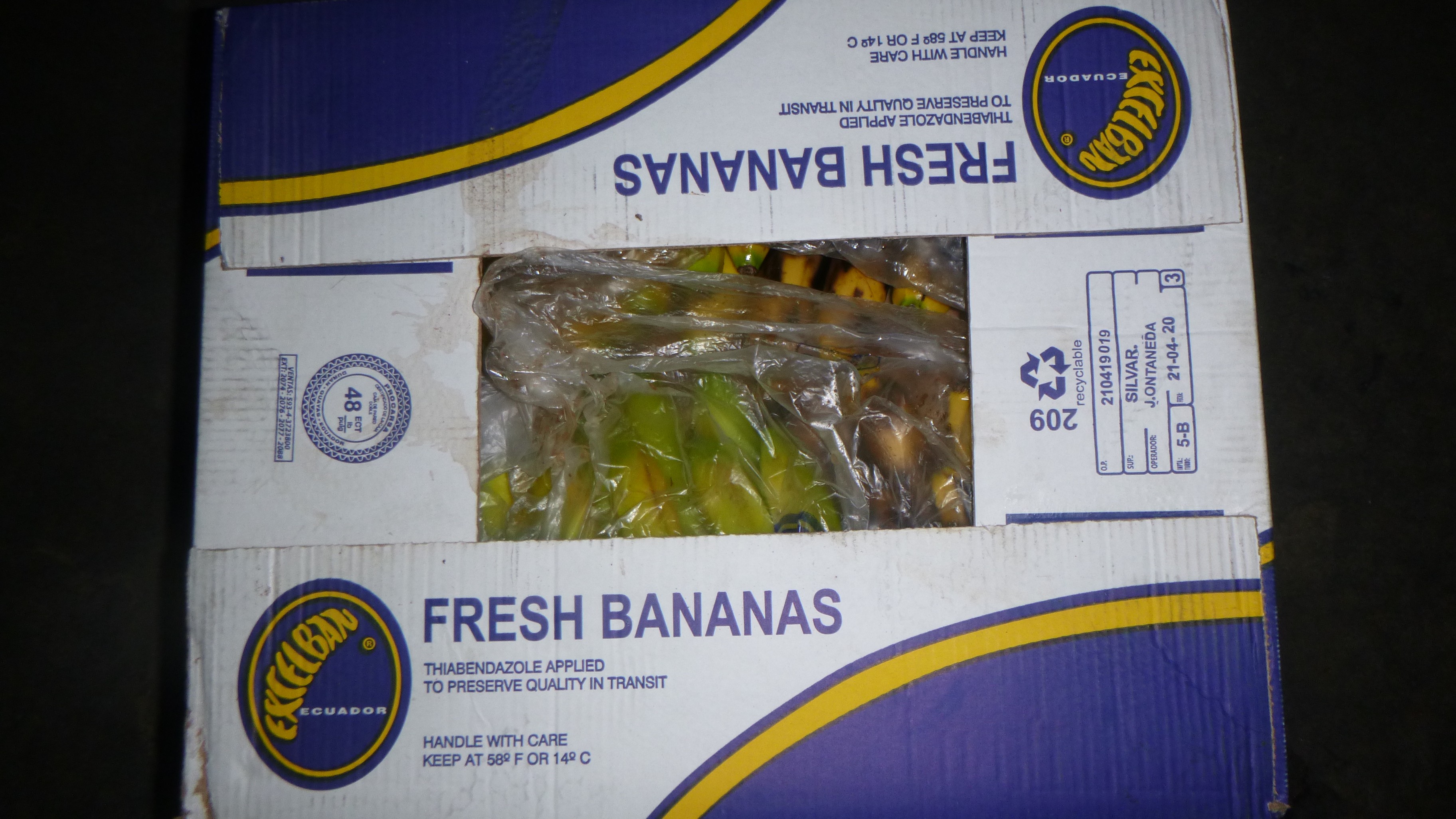 Random inspection of boxes with damaged bananas. Visual condition
