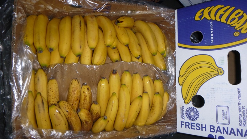 Condition of damaged bananas