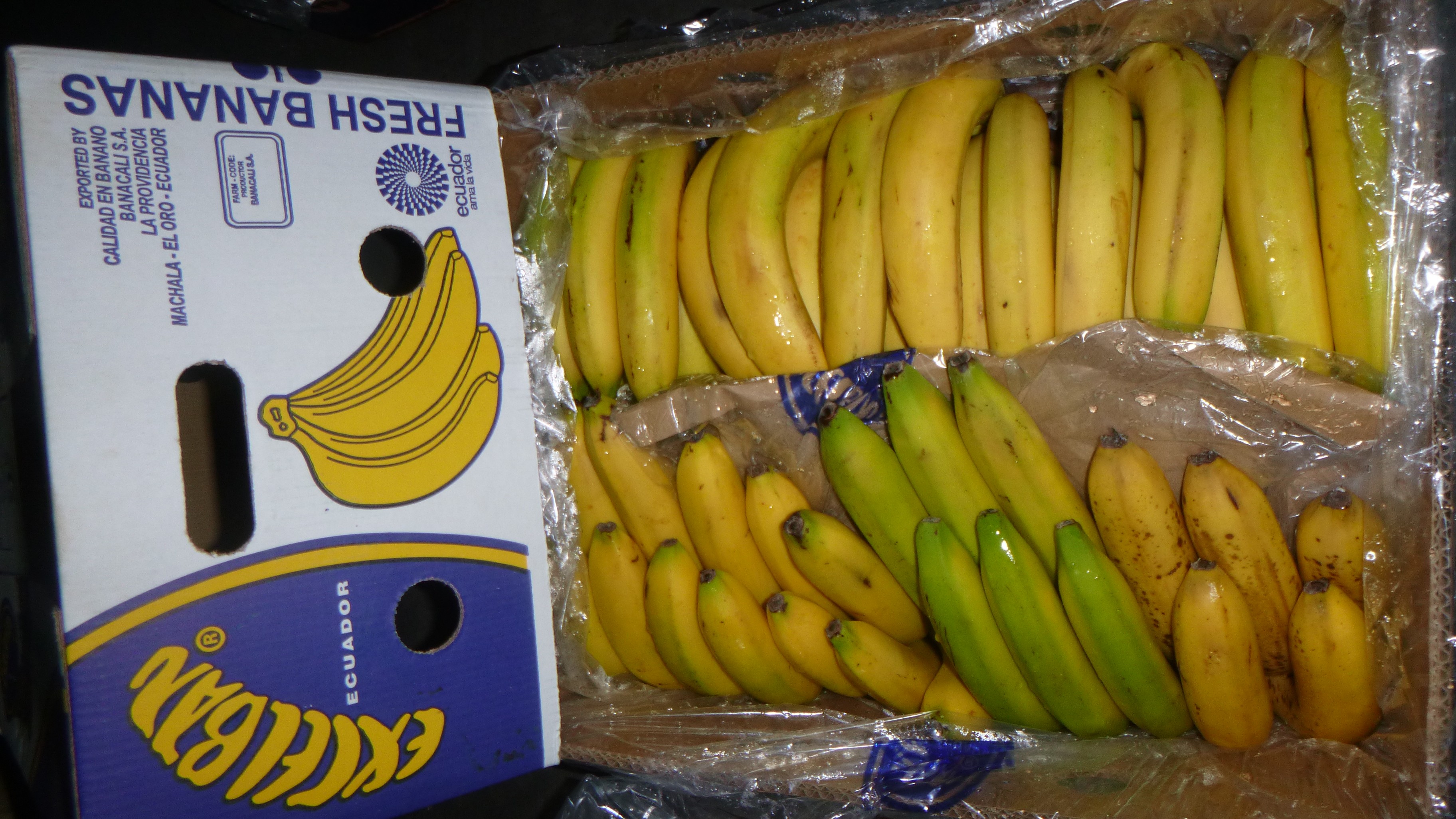 Random inspection of boxes with damaged bananas