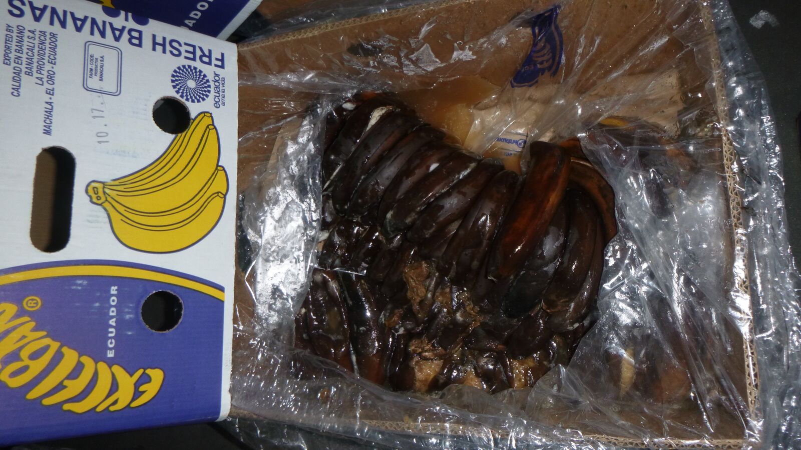 Random inspection of boxes with damaged bananas