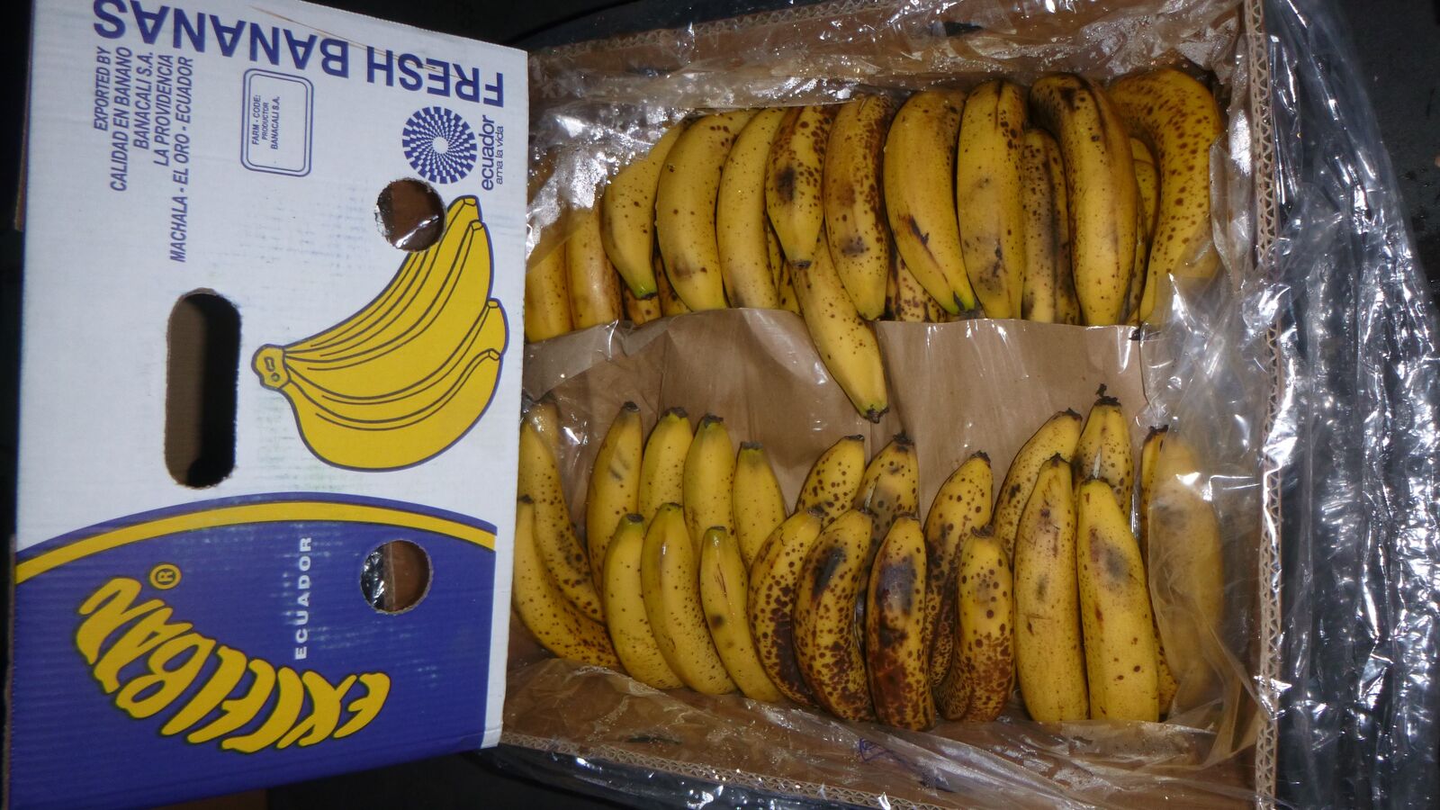 Random inspection of boxes with damaged bananas