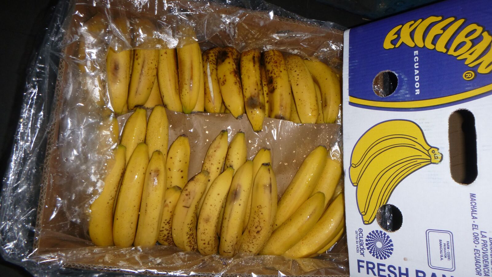 Random inspection of boxes with damaged bananas