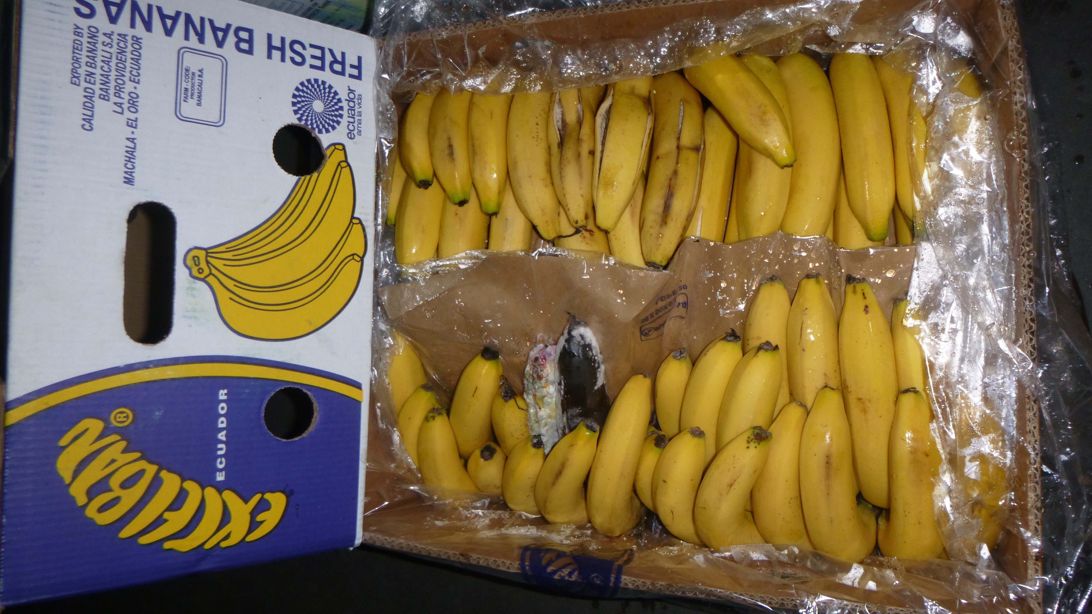 Random inspection of boxes with damaged bananas