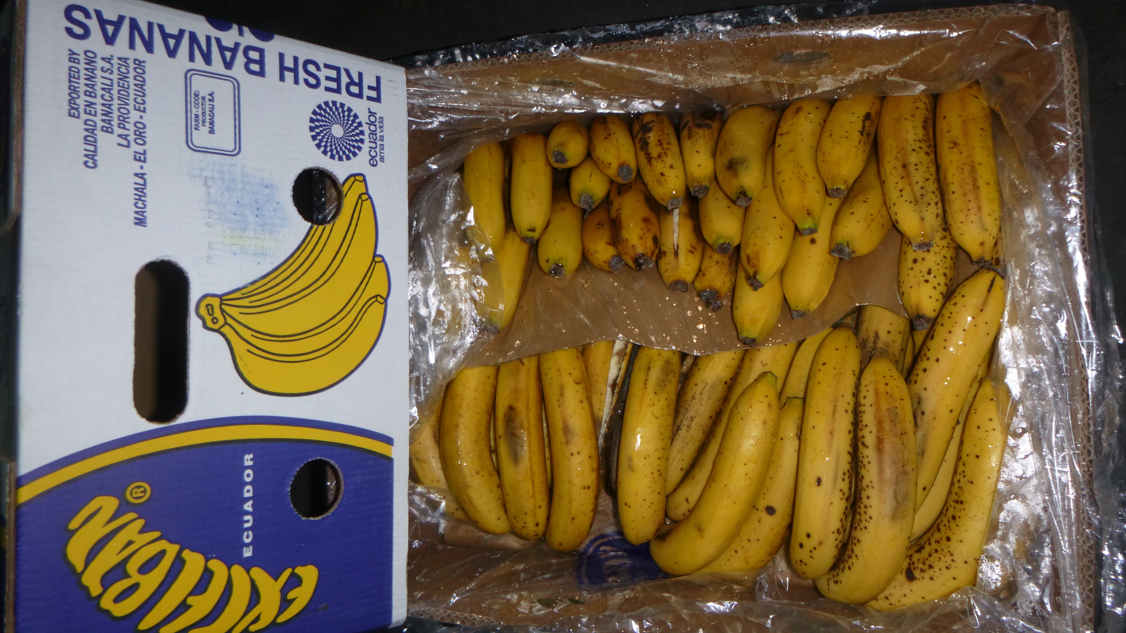 Random inspection of boxes with damaged bananas