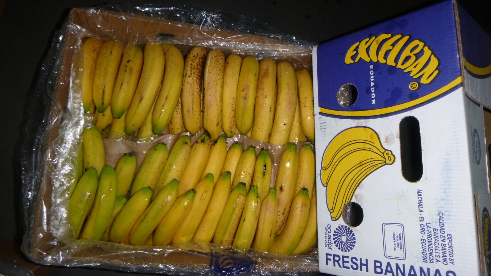 Random inspection of boxes with damaged bananas