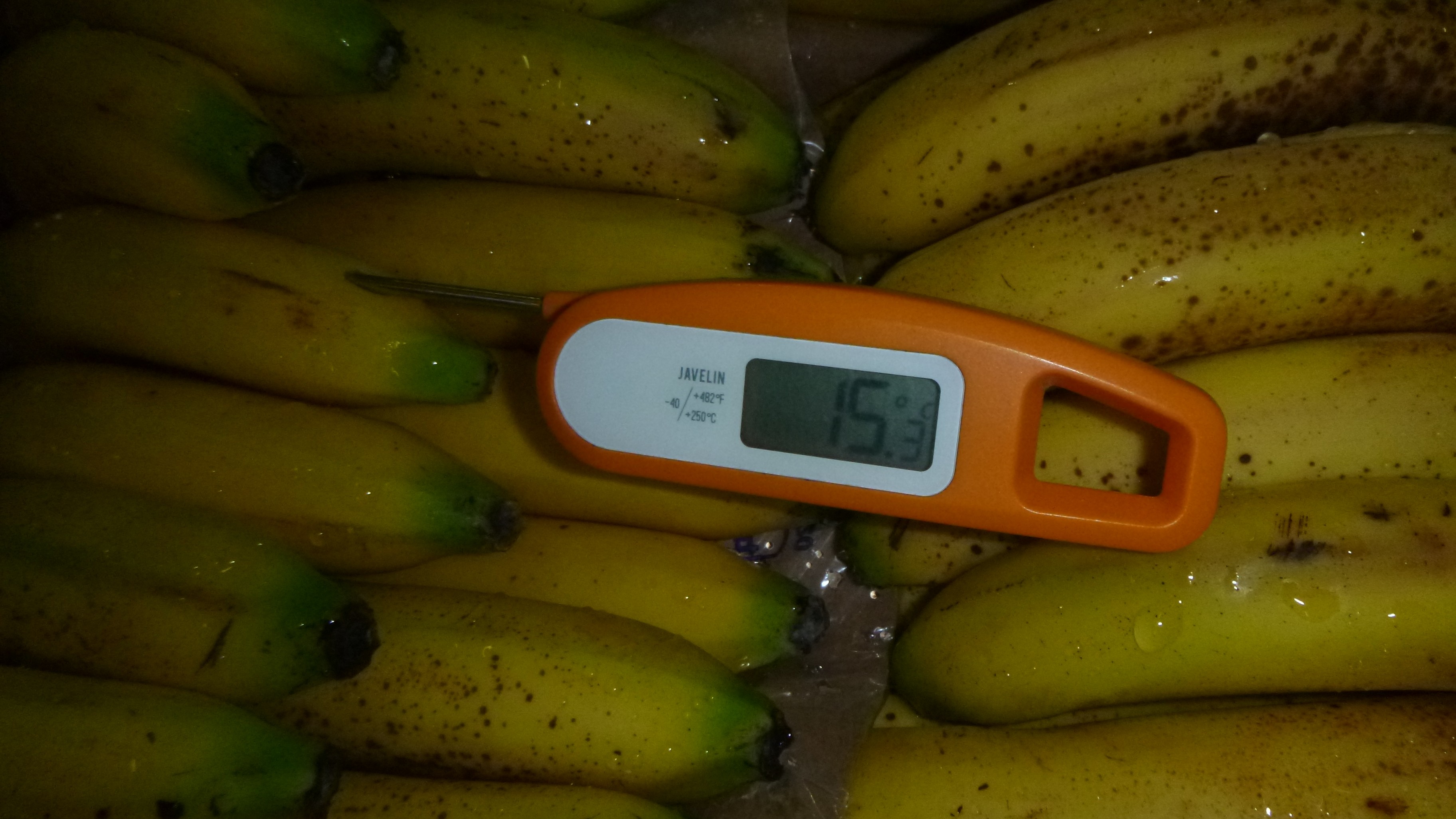 Random inspection of boxes with damaged bananas. Temperature measurement